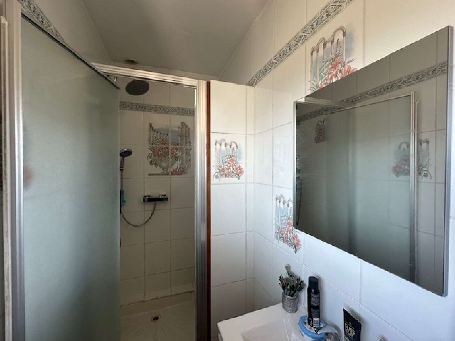 à vendre maison Neufchâtel-en-Bray Seine-Maritime 8