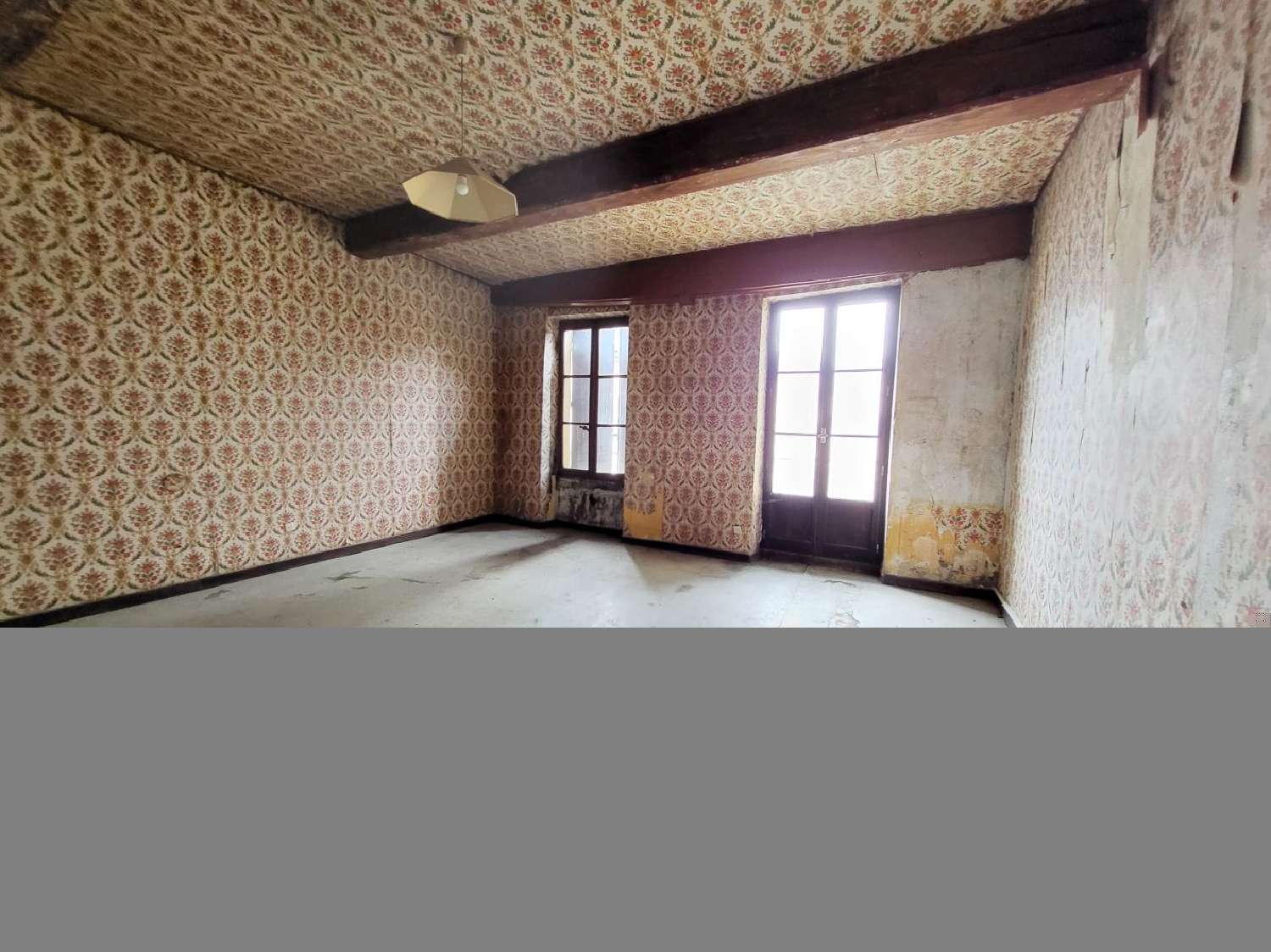 à vendre maison Neuville-les-Dames Ain 2