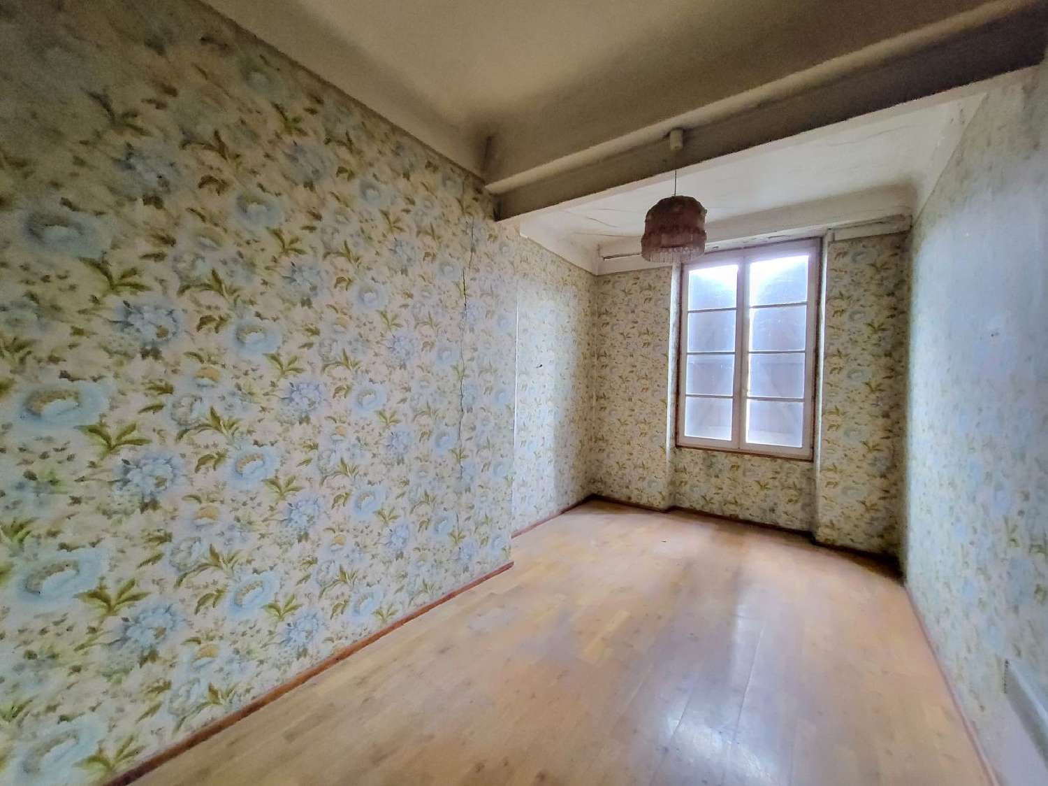 à vendre maison Neuville-les-Dames Ain 4