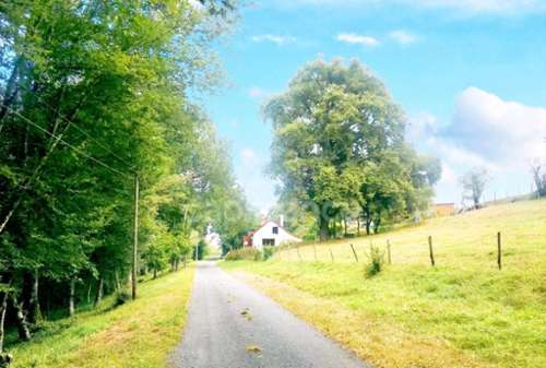 Neuvy-le-Barrois Cher maison foto 7170282