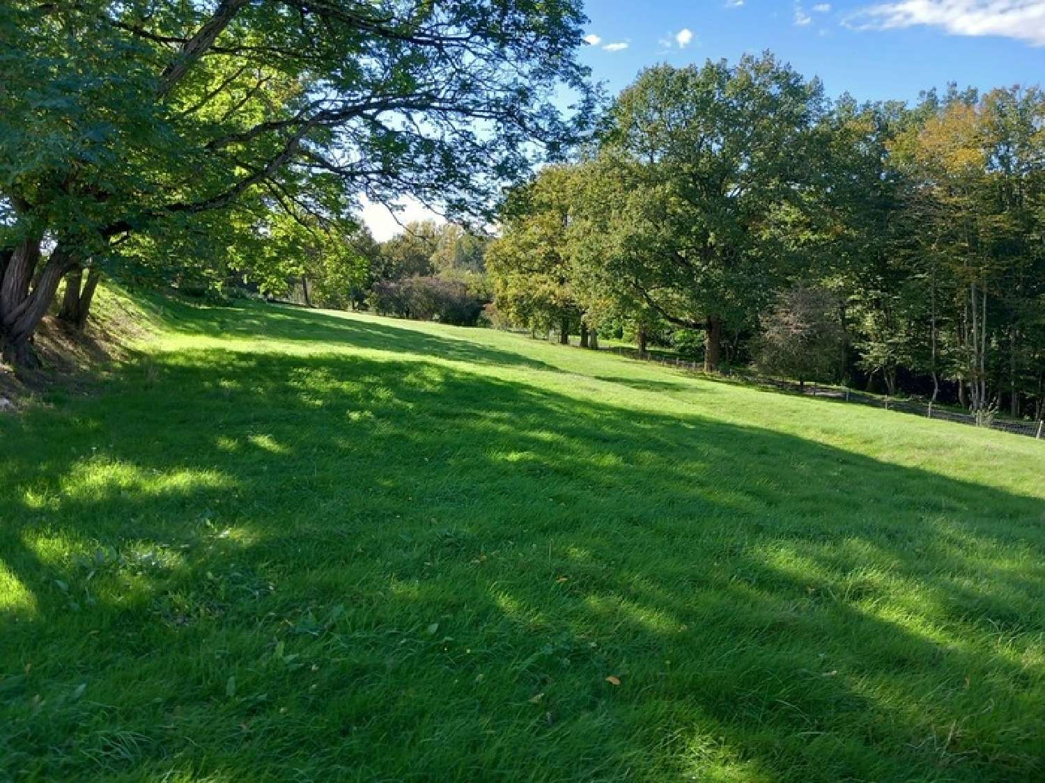 à vendre maison Neuvy-le-Barrois Cher 3