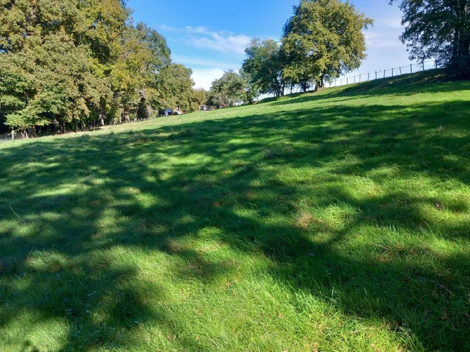 à vendre maison Neuvy-le-Barrois Cher 6