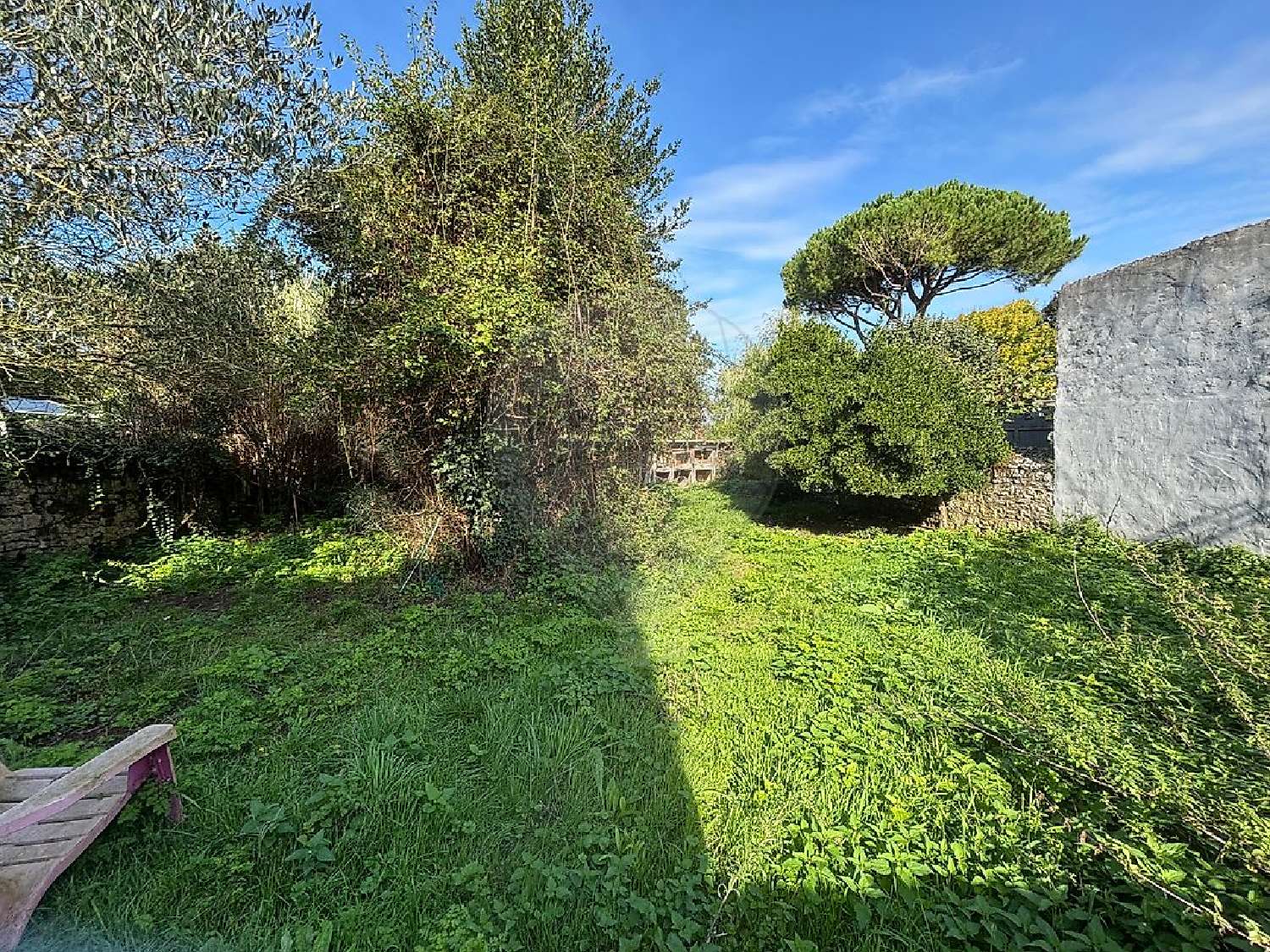  te koop huis Nieulle-sur-Seudre Charente-Maritime 8