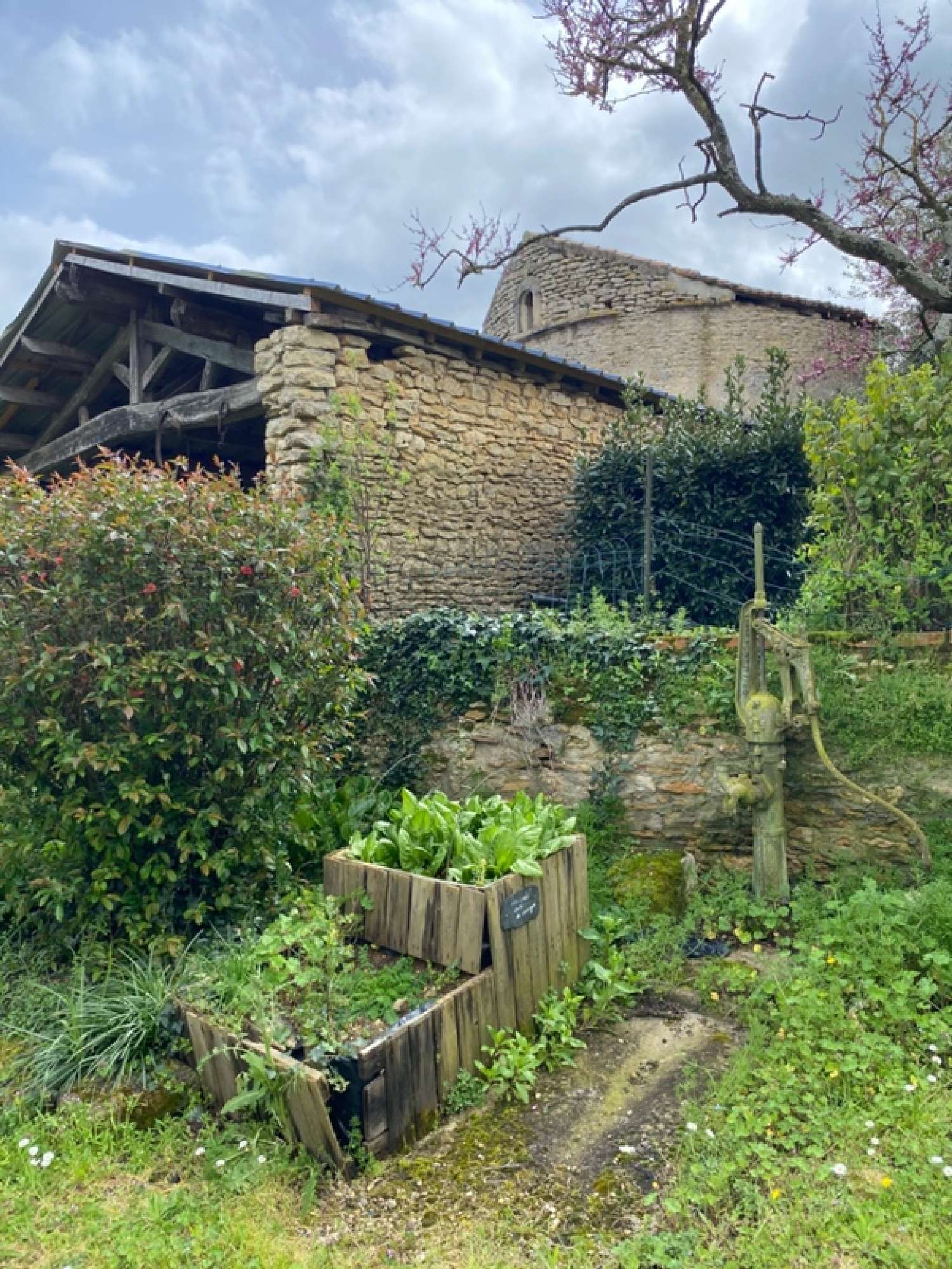 à vendre maison Noizé Deux-Sèvres 6