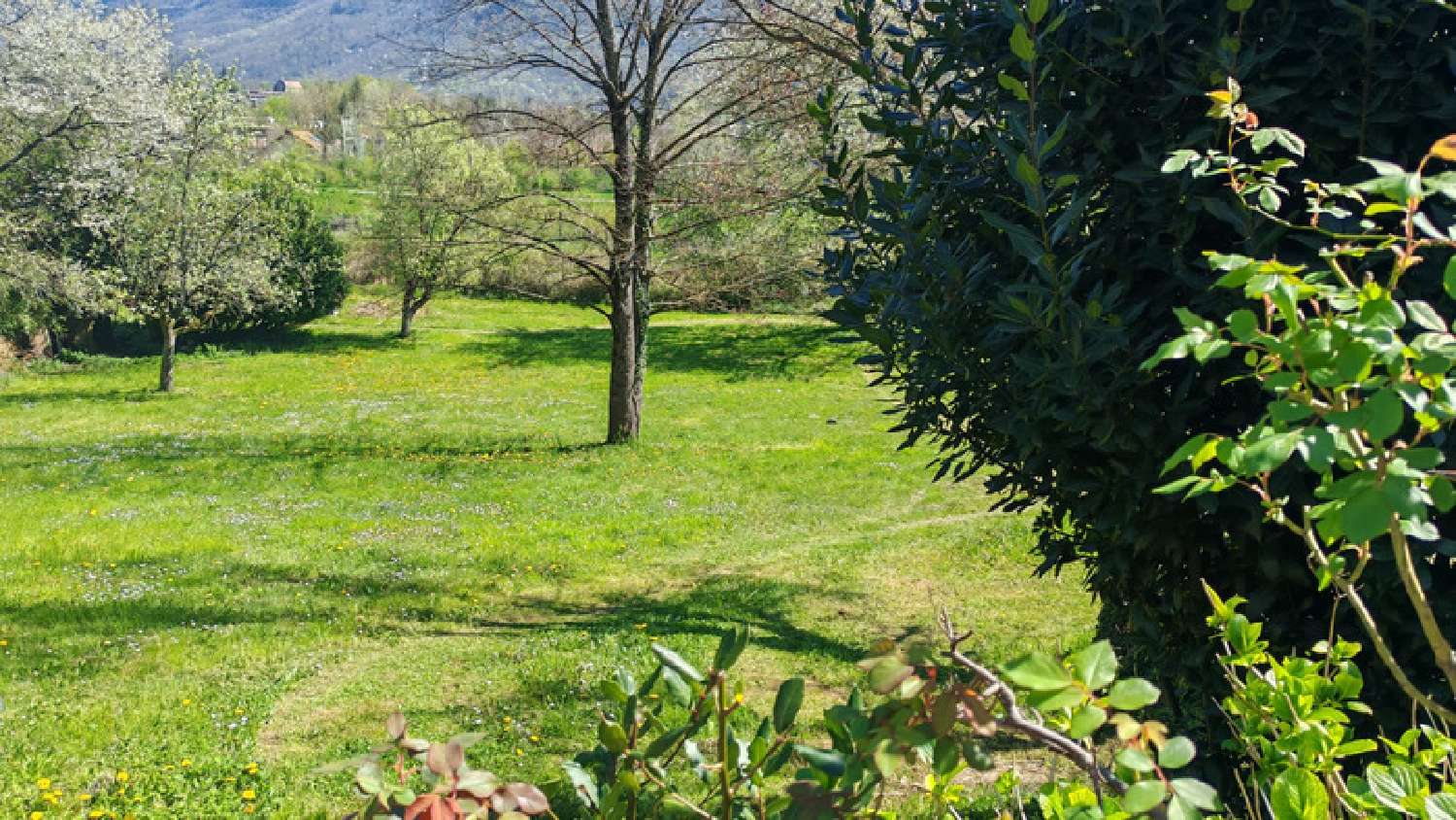 for sale house Notre-Dame-de-Mésage Isère 2