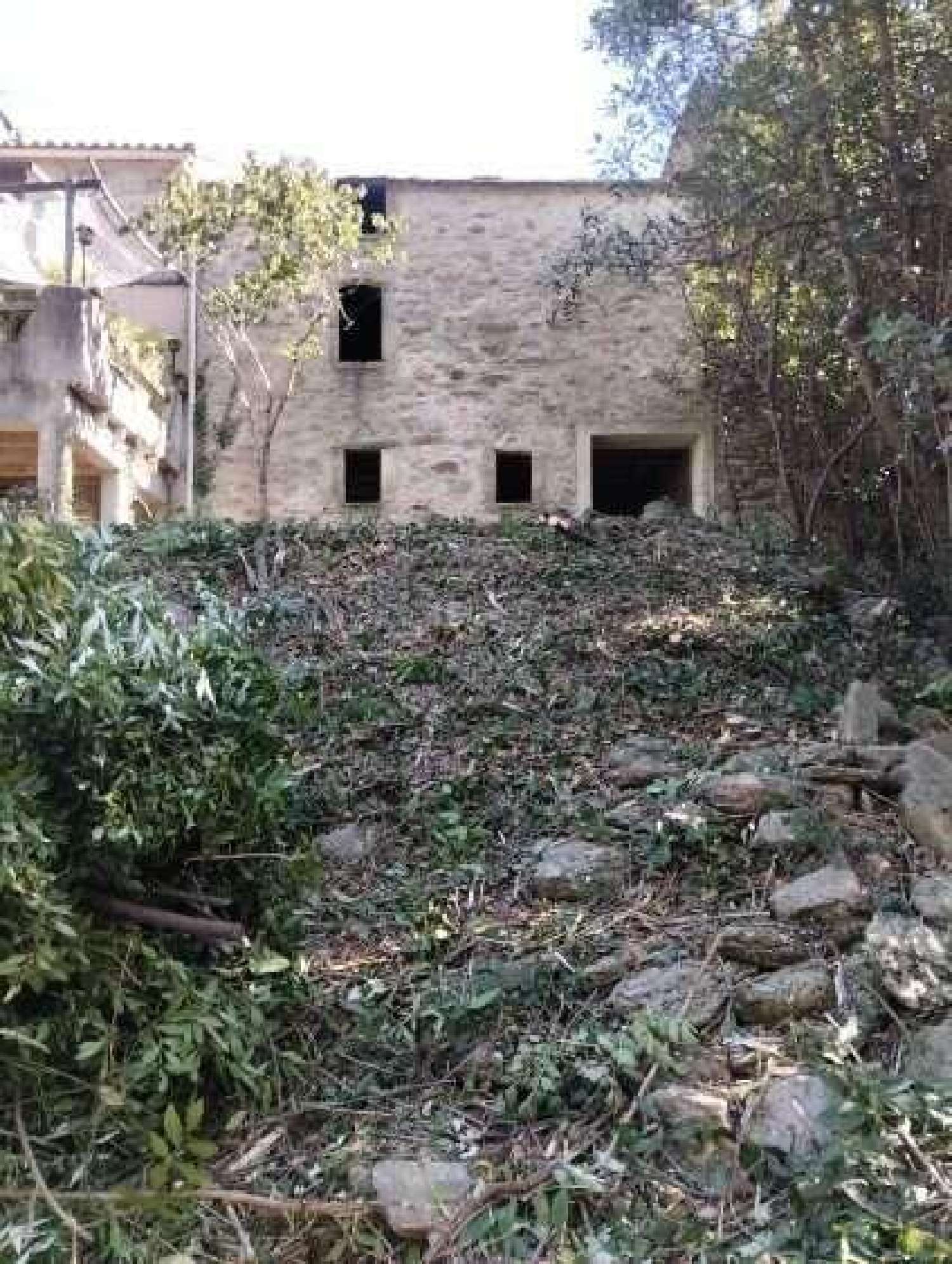  à vendre maison Olargues Hérault 2