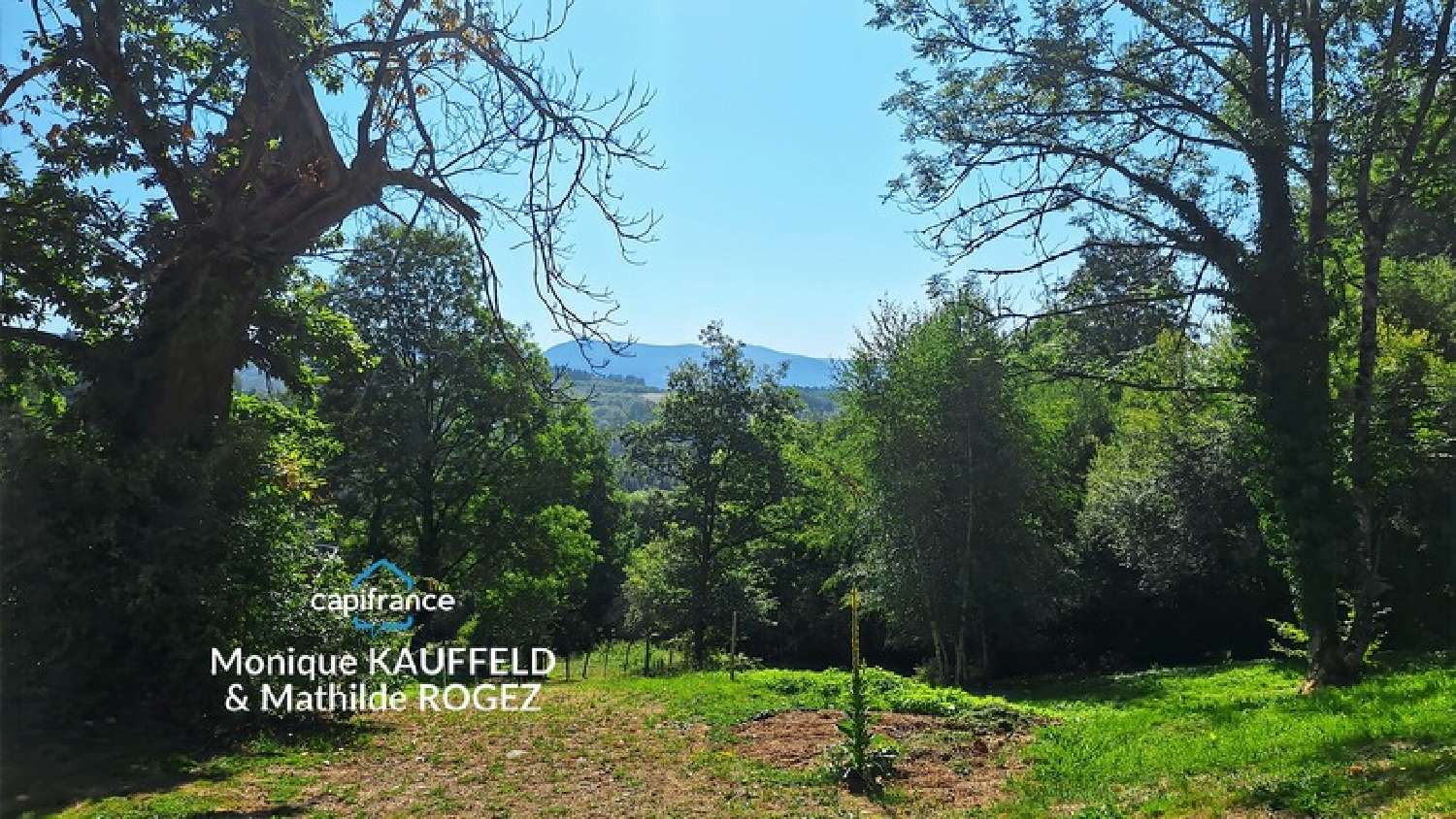 for sale house Olliergues Puy-de-Dôme 2