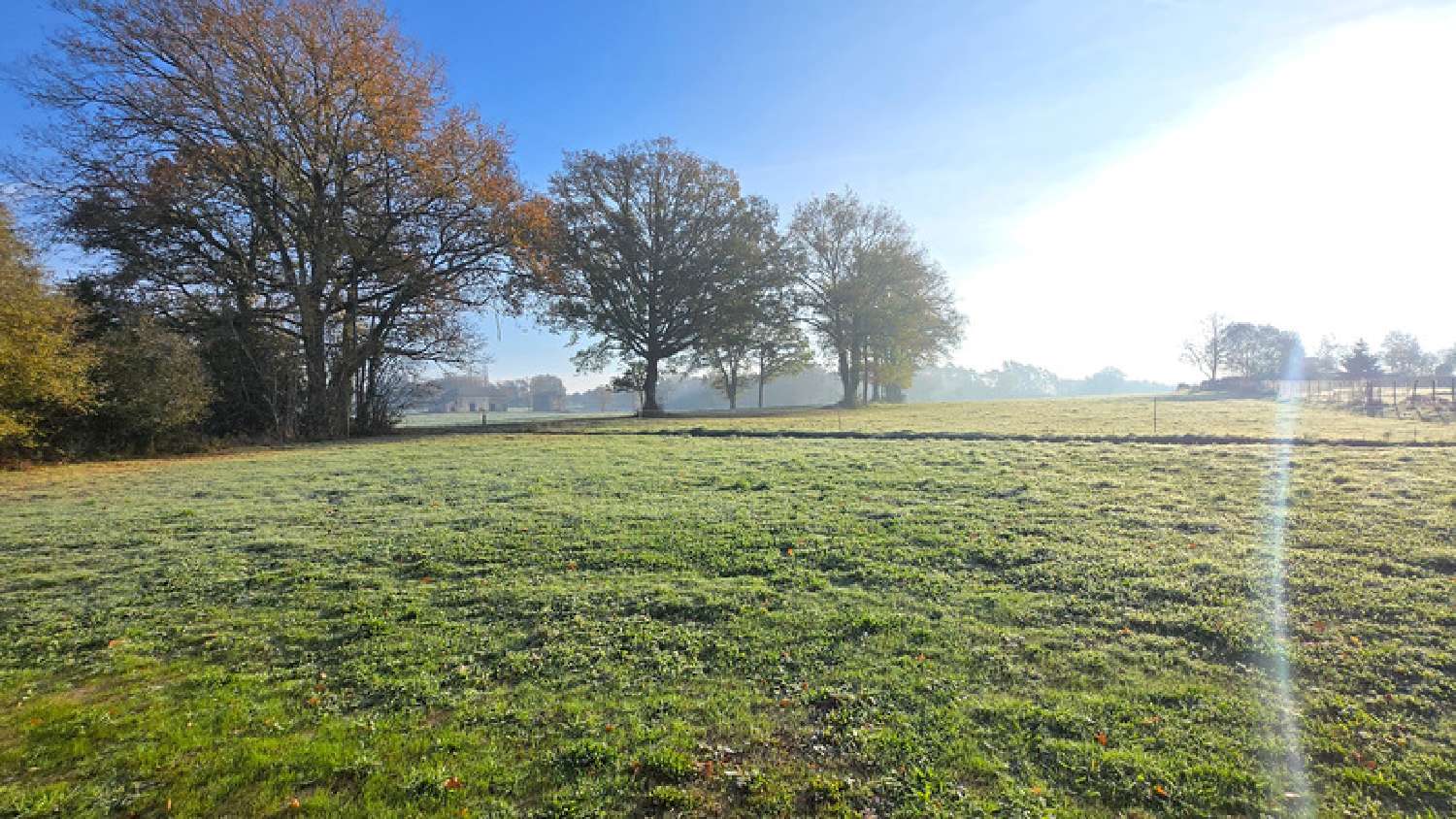  kaufen Haus Oradour-sur-Glane Haute-Vienne 3