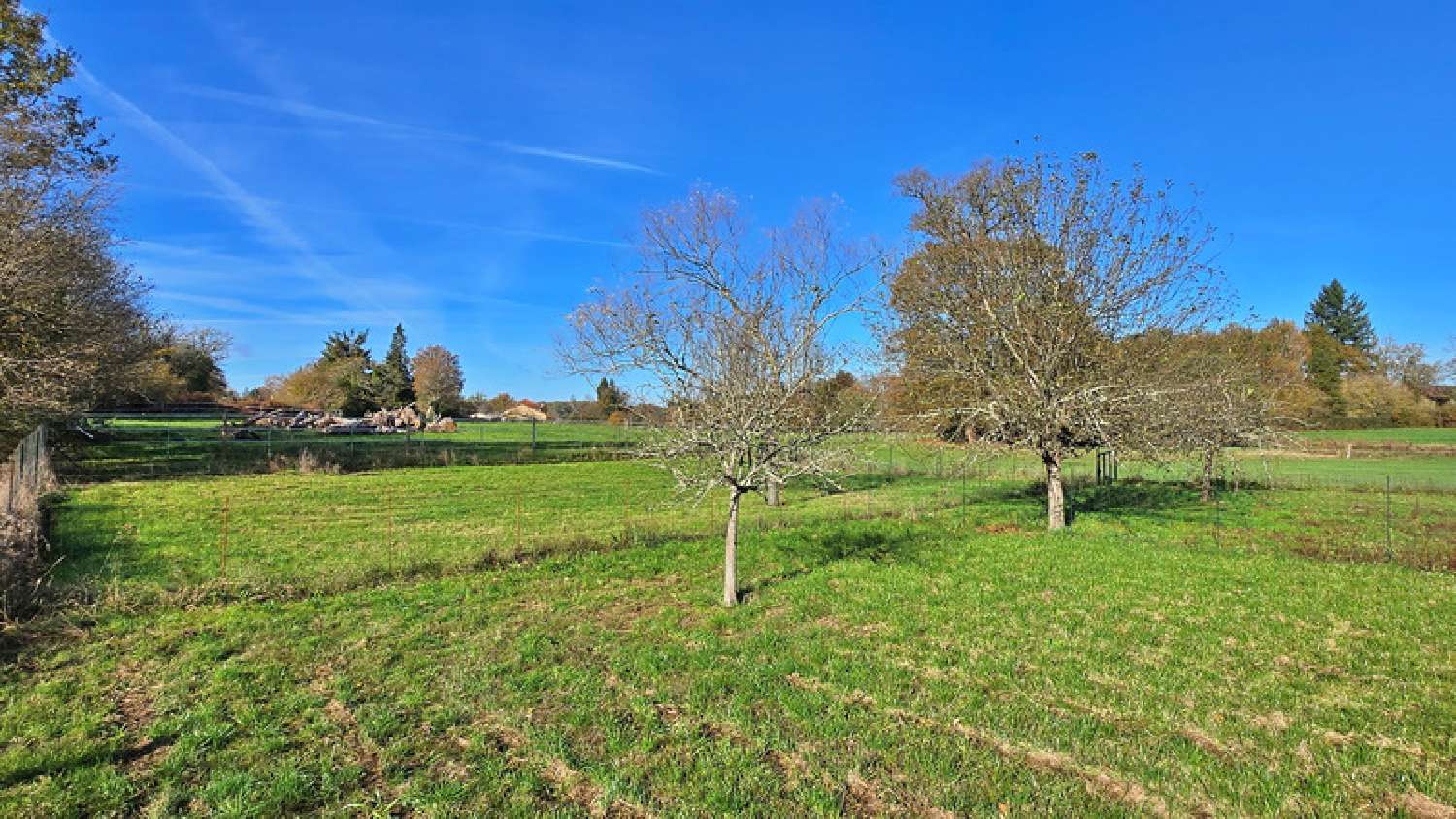 kaufen Haus Oradour-sur-Glane Haute-Vienne 6