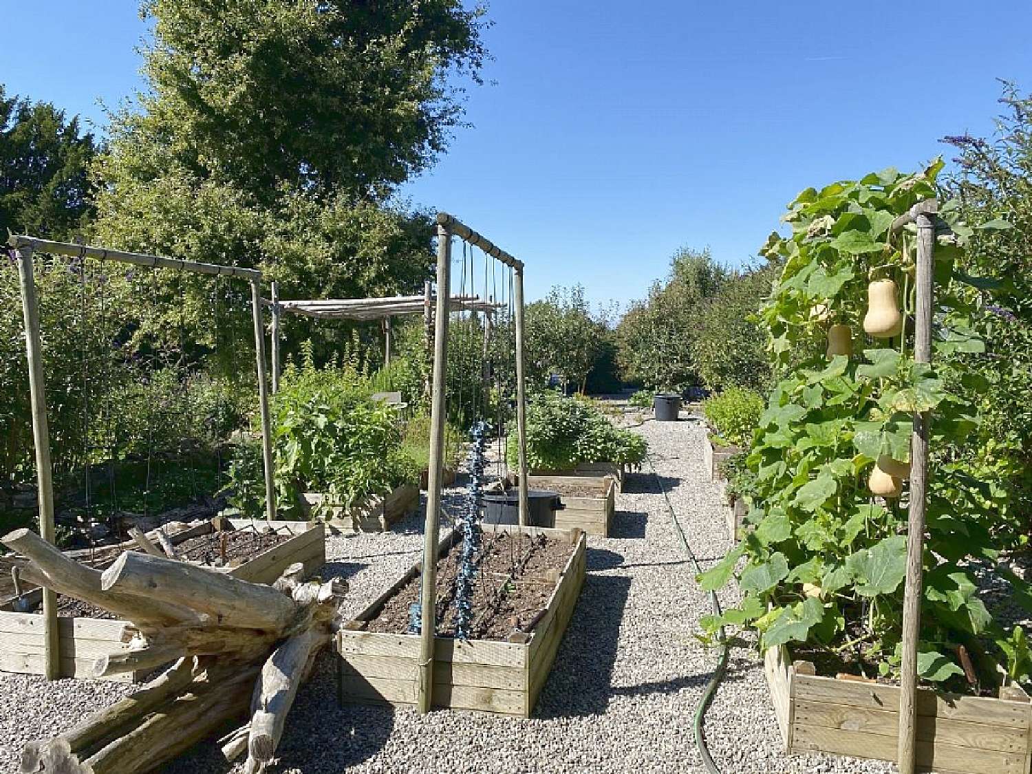  à vendre maison Oradour-sur-Vayres Haute-Vienne 5