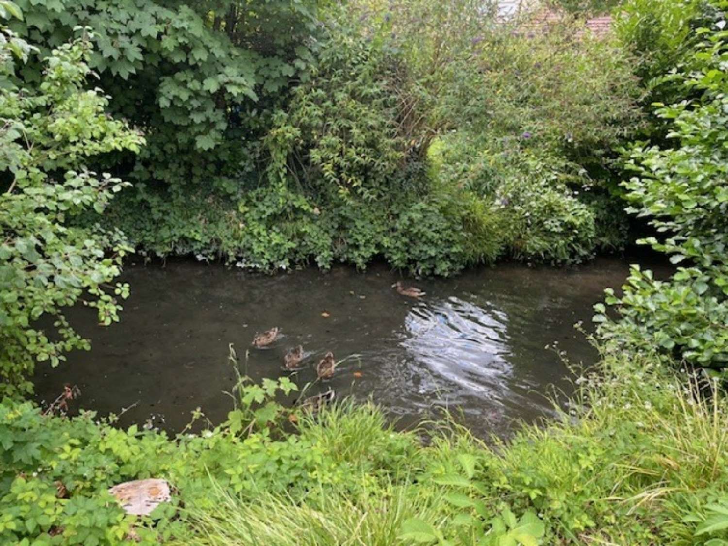 te koop huis Ouges Côte-d'Or 6