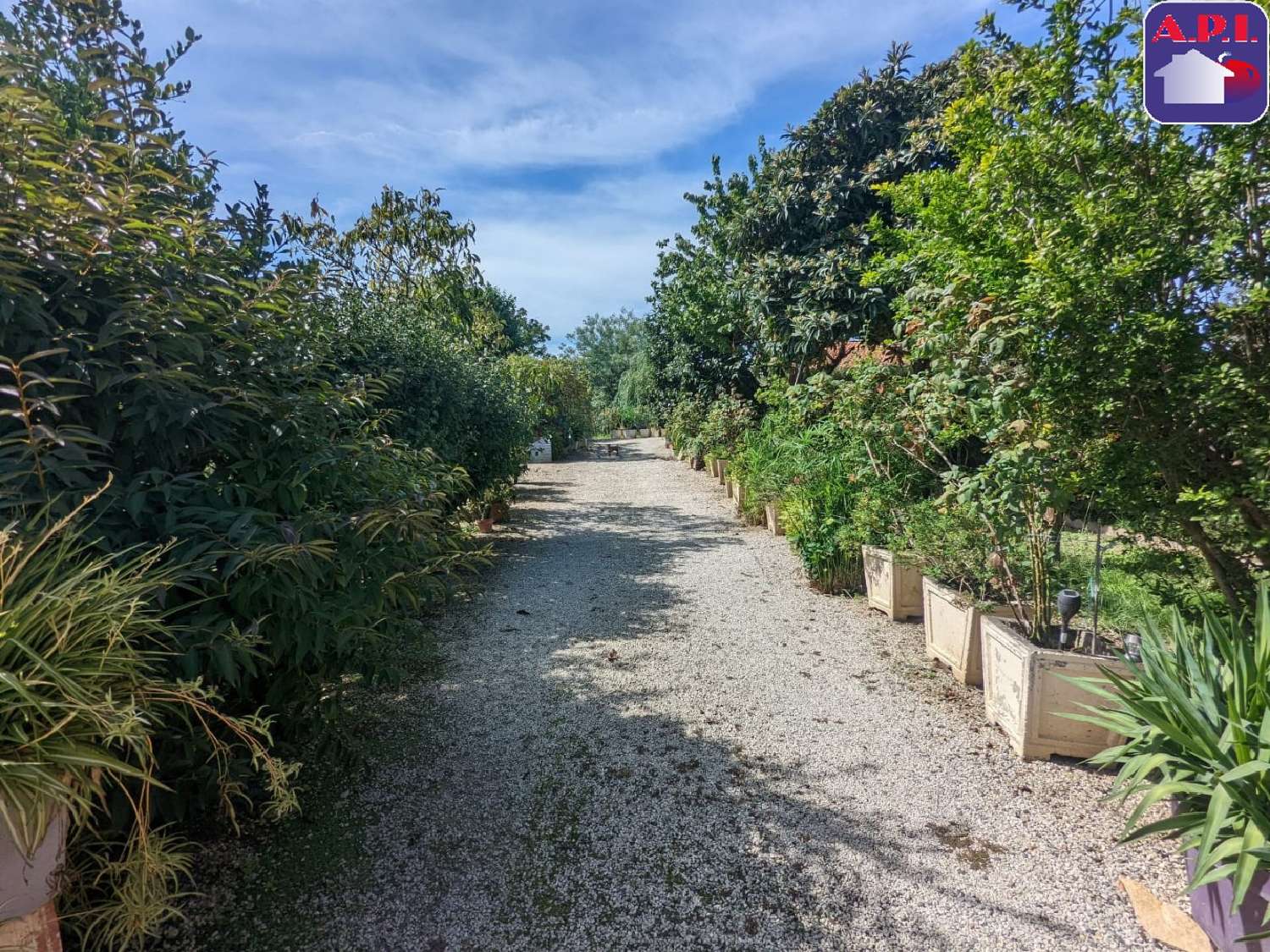  te koop huis Palaminy Haute-Garonne 2