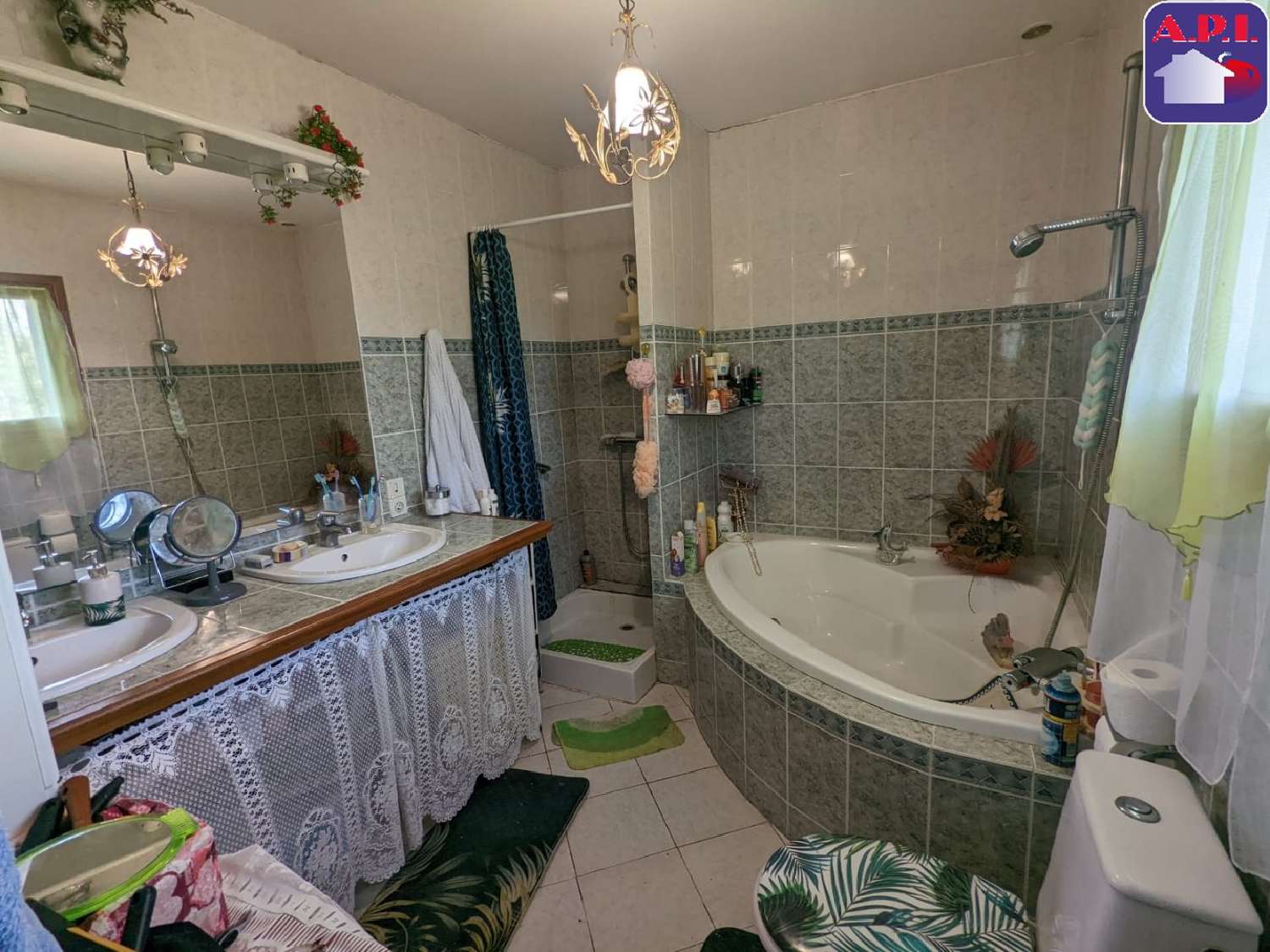  te koop huis Palaminy Haute-Garonne 6