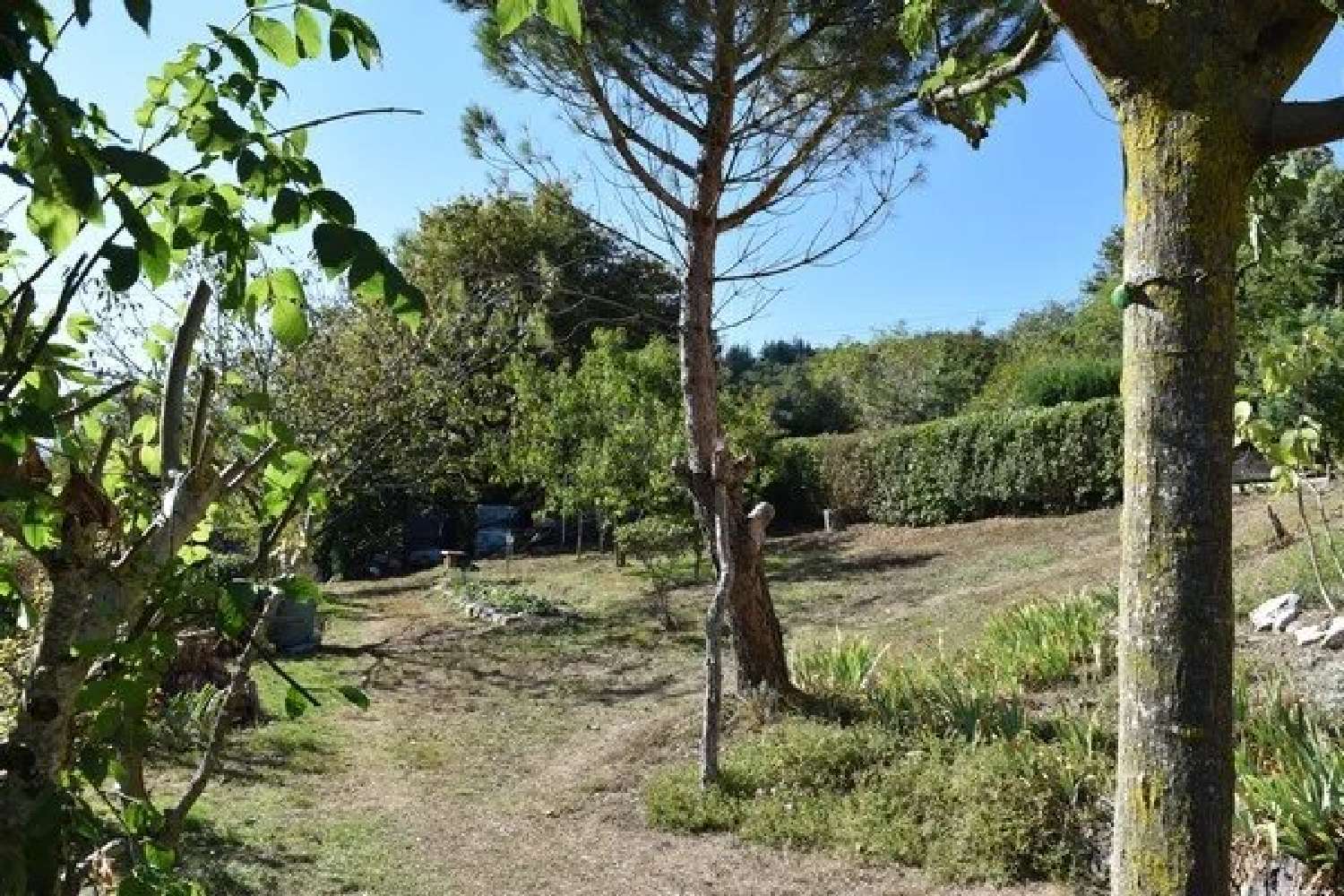  for sale house Payrin-Augmontel Tarn 5