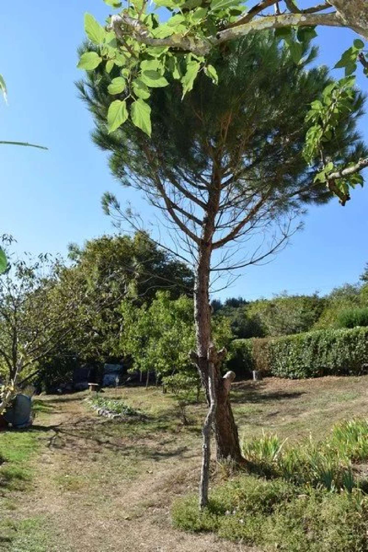  for sale house Payrin-Augmontel Tarn 6