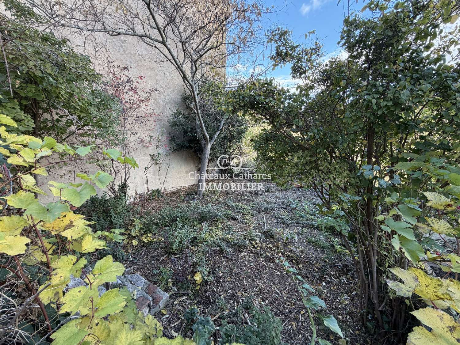  for sale house Paziols Aude 3