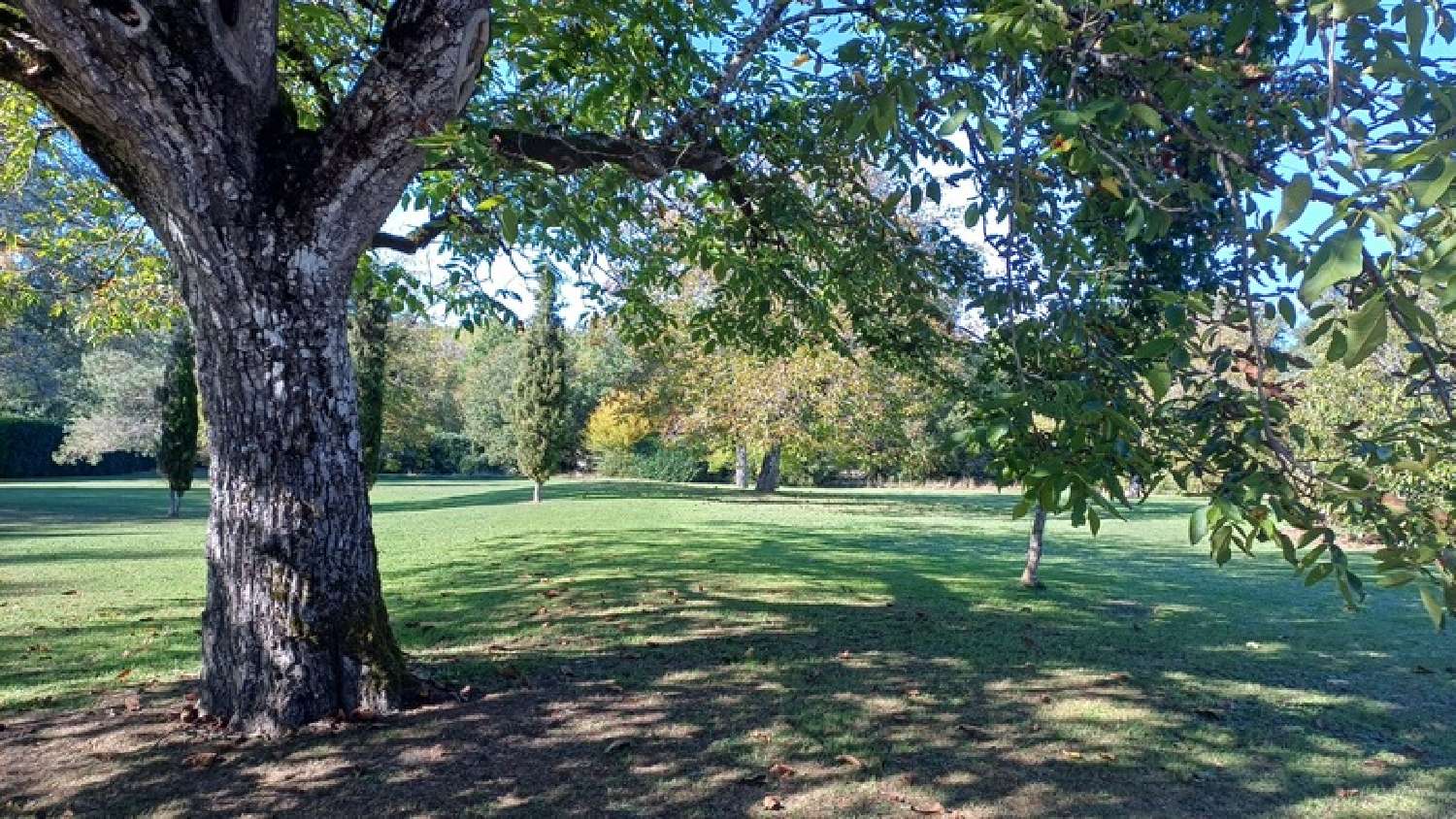  for sale house Périgueux Dordogne 5