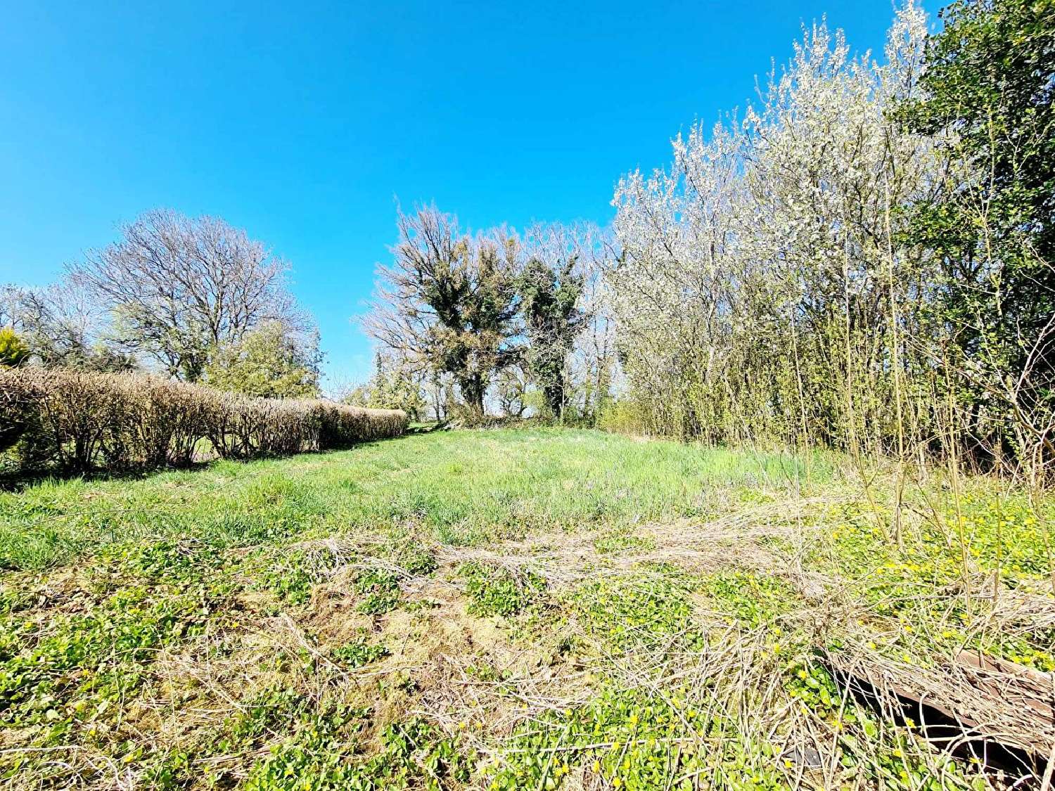  kaufen Haus Perrusse Haute-Marne 1