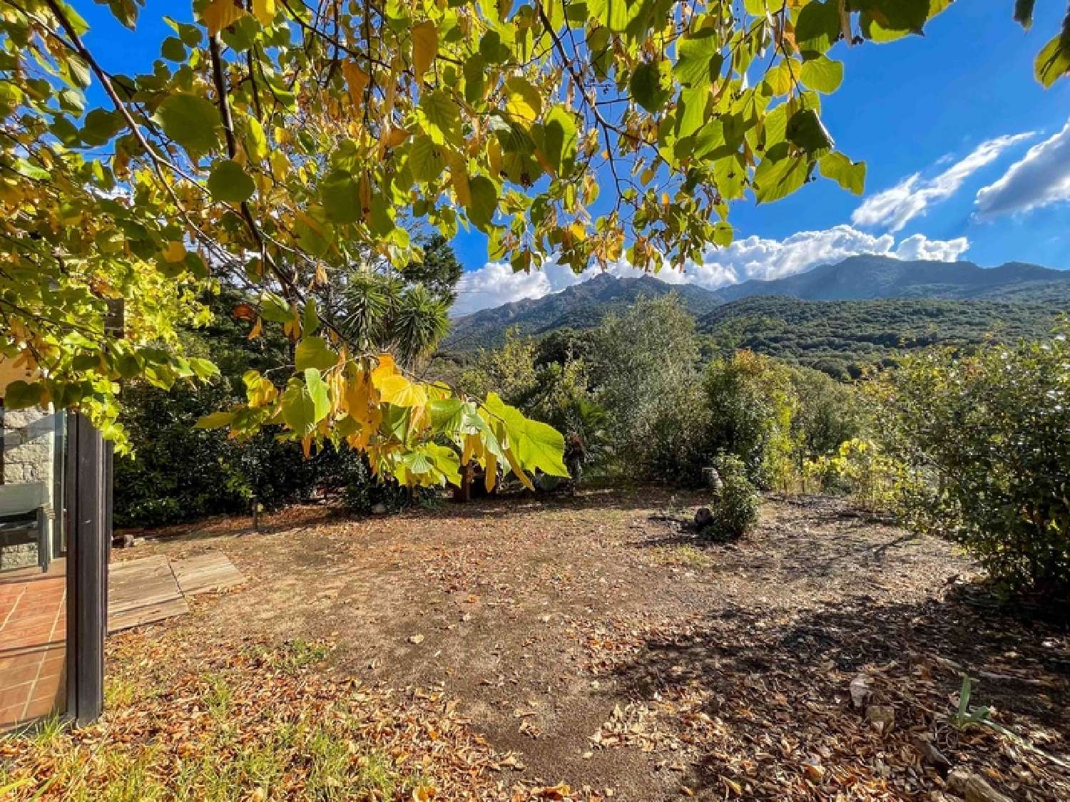  te koop huis Petreto-Bicchisano Corse-du-Sud 7