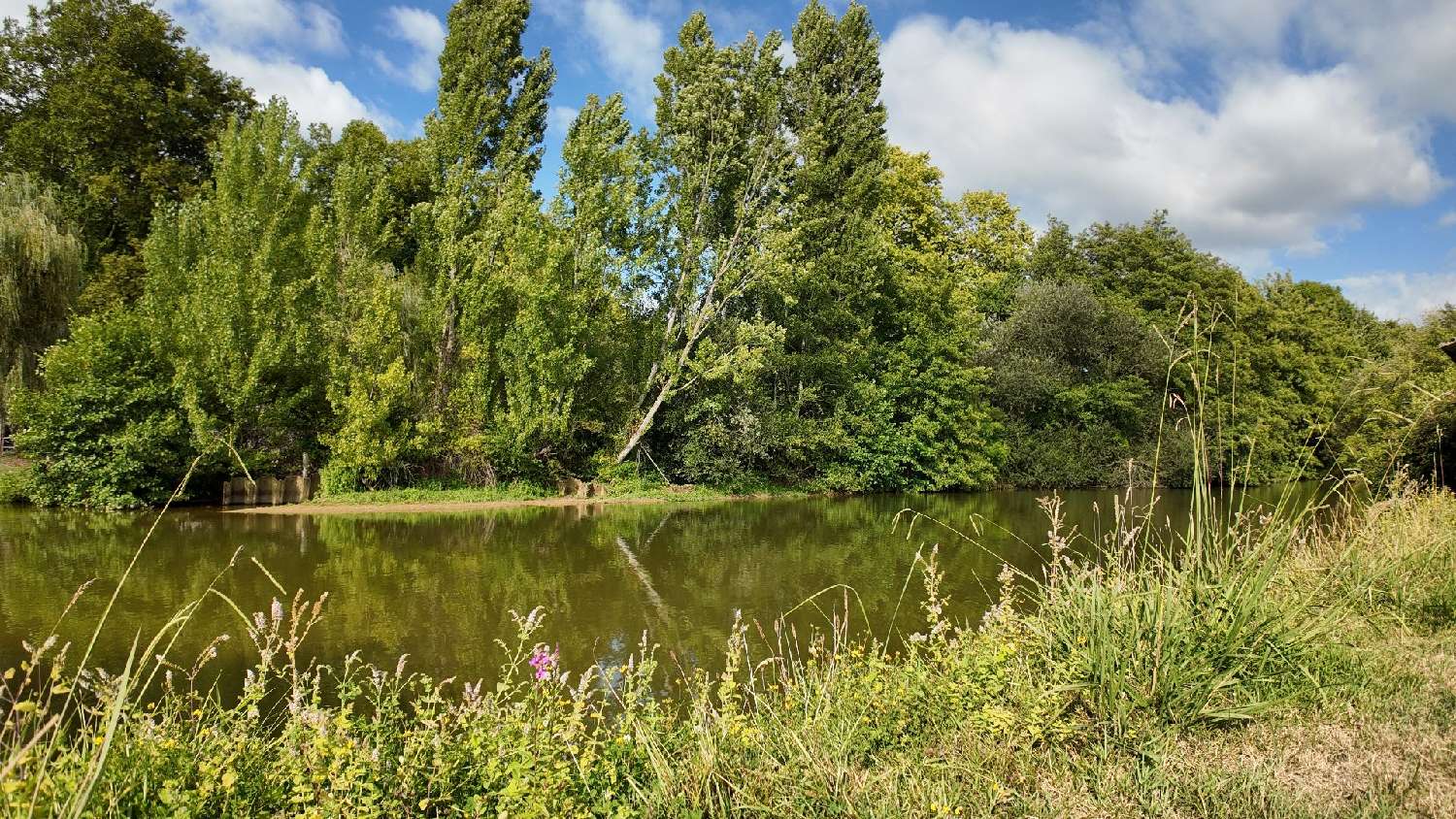  kaufen Haus Peyrehorade Landes 2