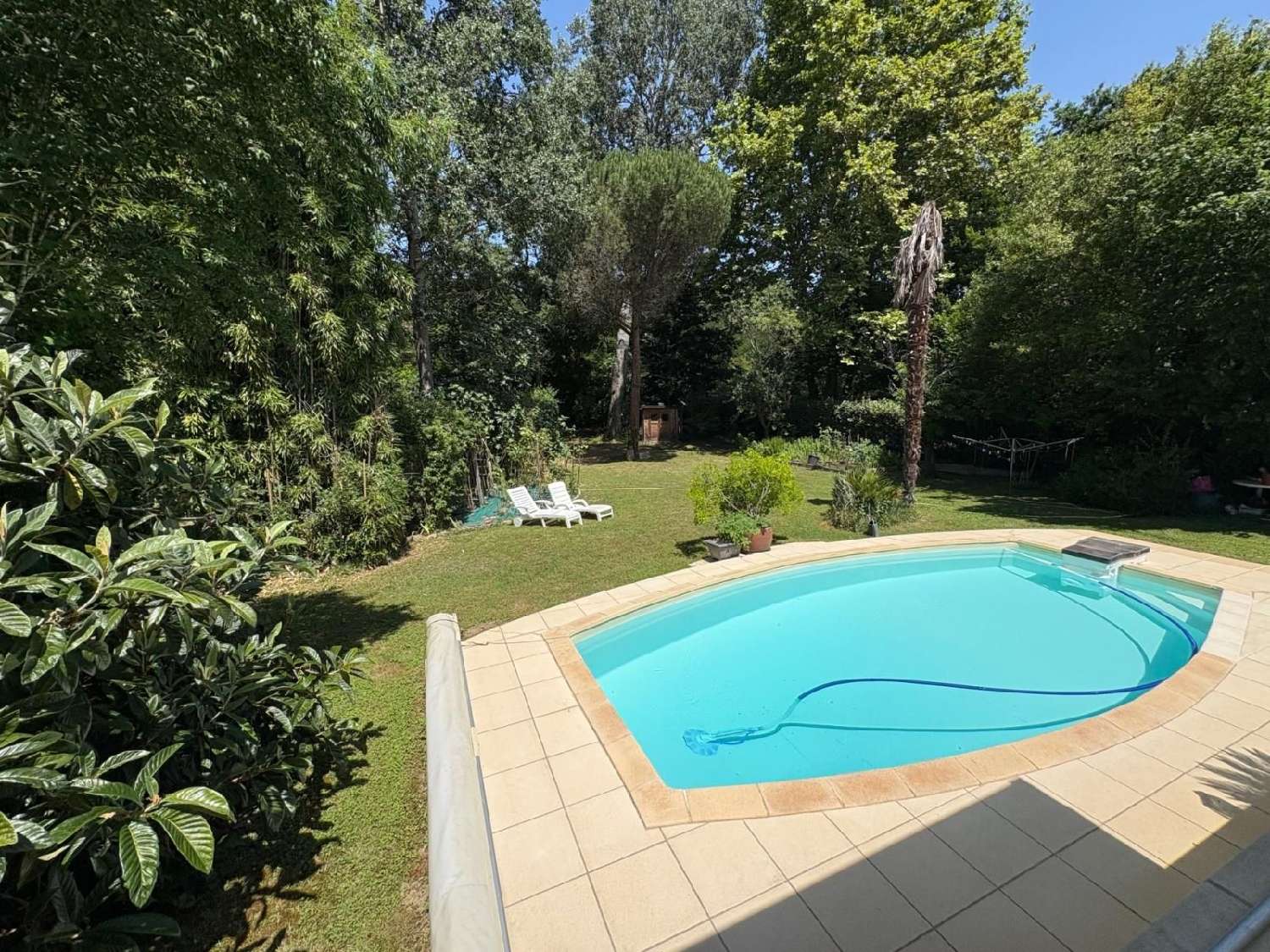  à vendre maison Pibrac Haute-Garonne 1