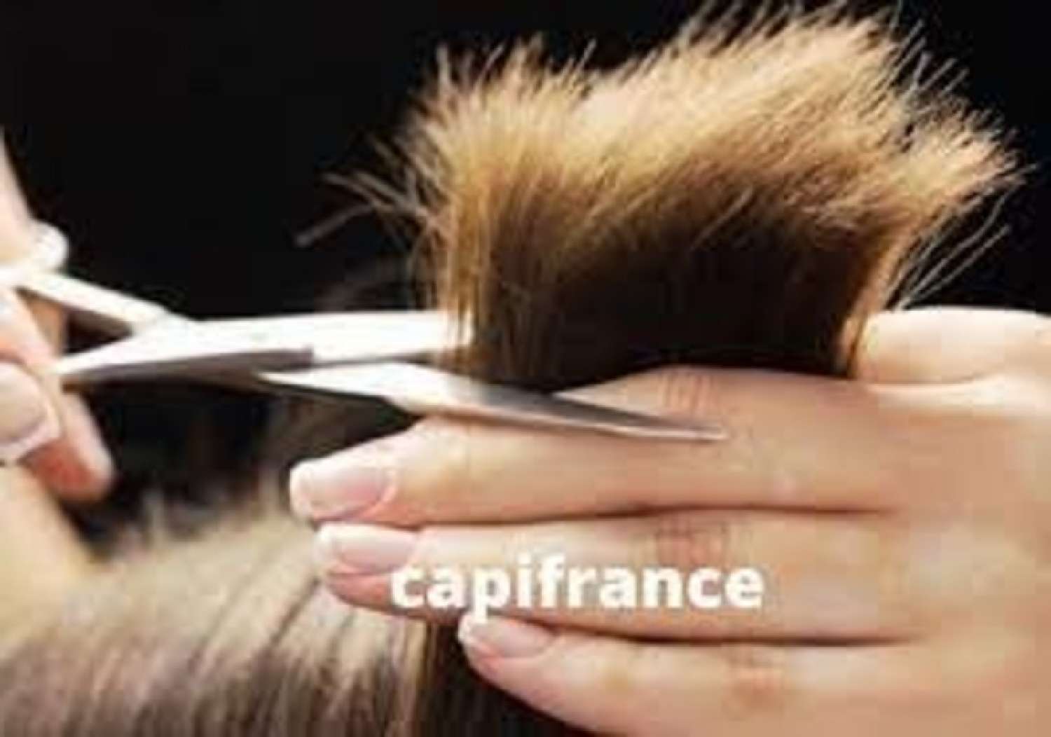  for sale house Pierre-Bénite Rhône 1