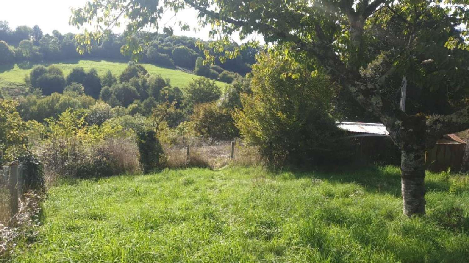 kaufen Haus Pierre-Buffière Haute-Vienne 2