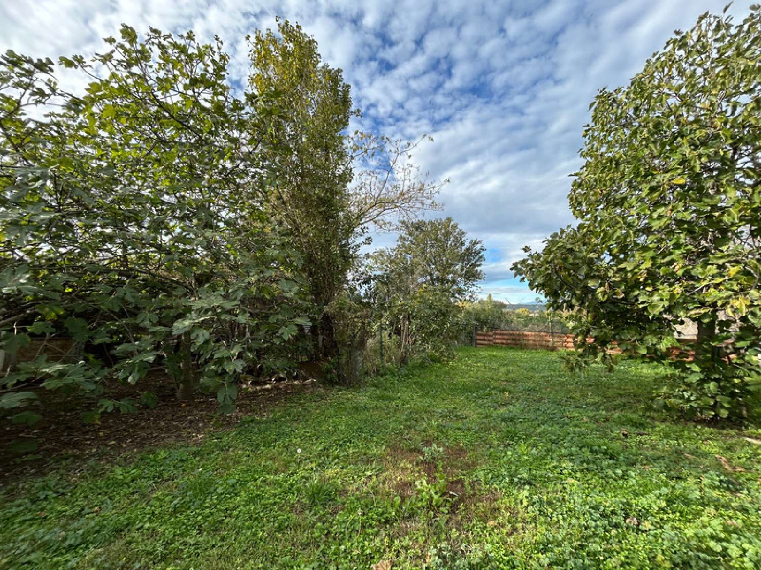  te koop huis Pierrelatte Drôme 4