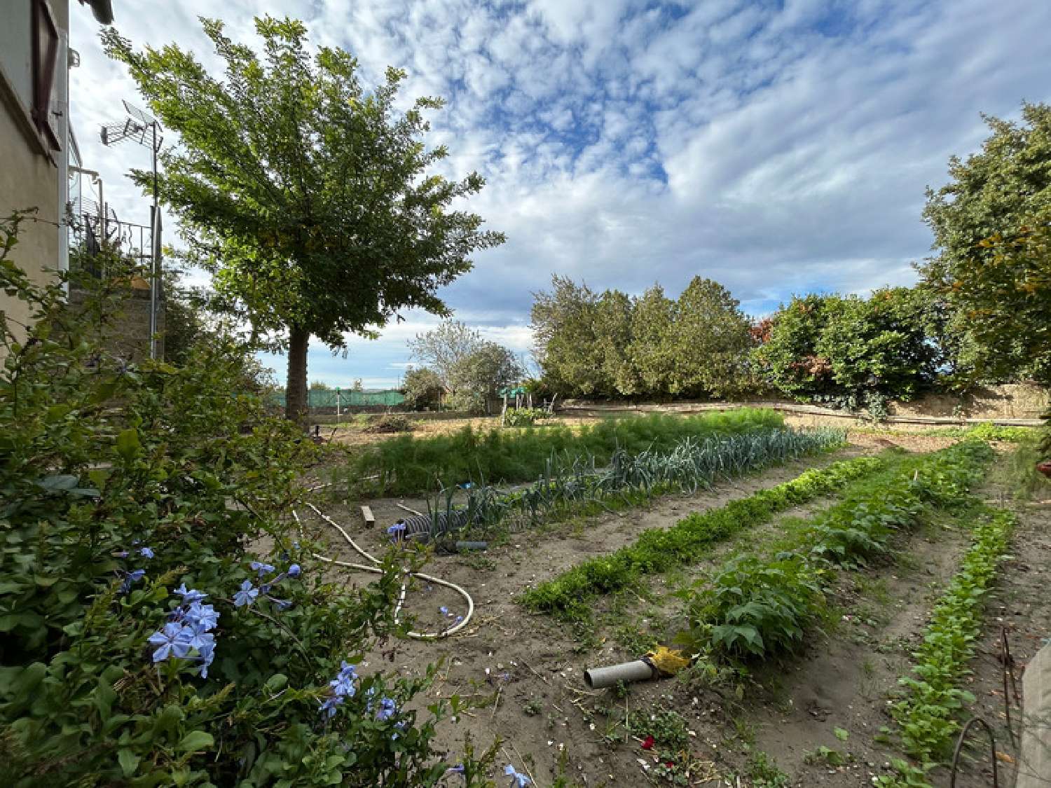  te koop huis Pierrelatte Drôme 6