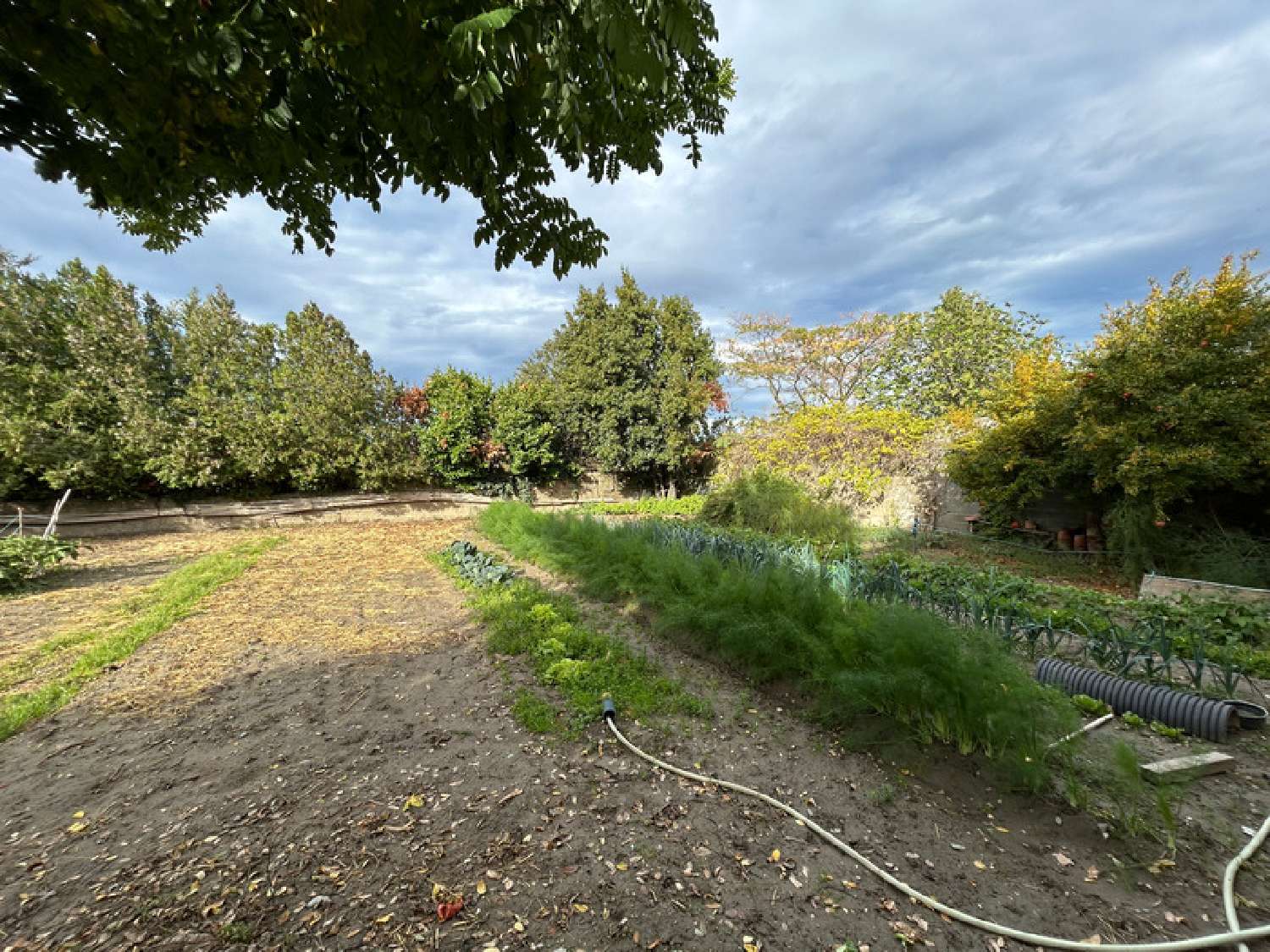  te koop huis Pierrelatte Drôme 7