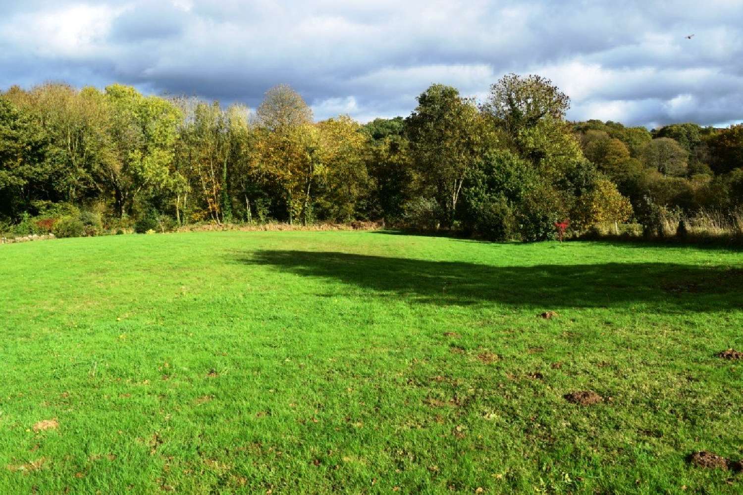  te koop huis Plémet Côtes-d'Armor 3