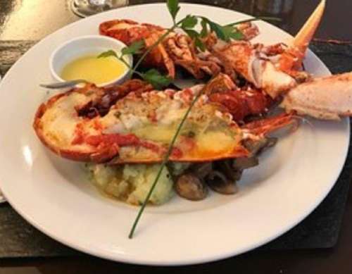 Pleumeur-Bodou Côtes-d'Armor Haus Bild 7190139