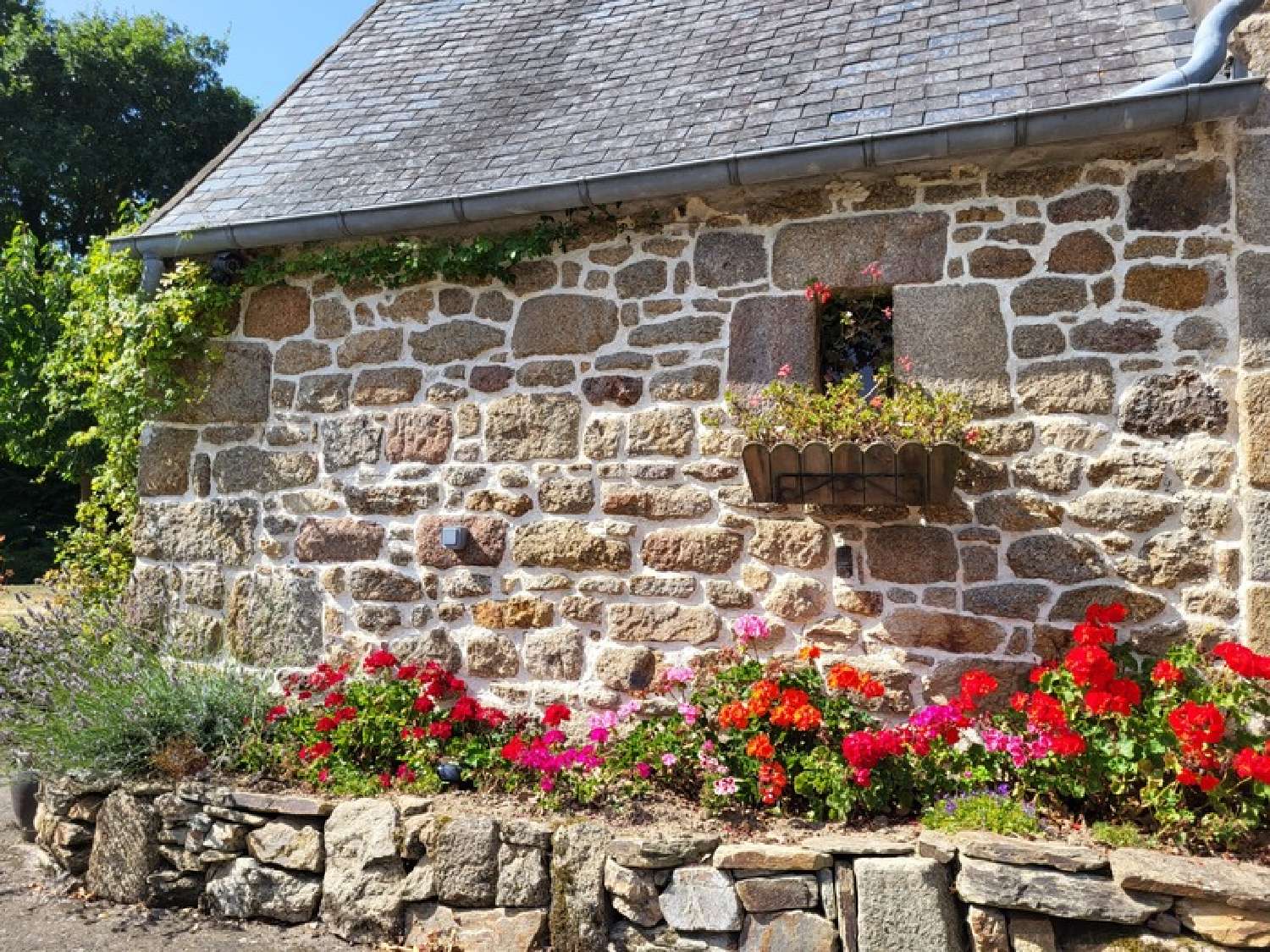  te koop huis Ploubezre Côtes-d'Armor 3