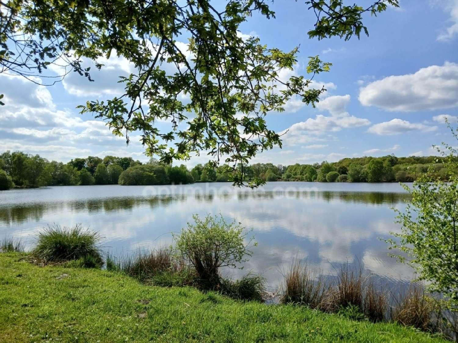  for sale house Plouray Morbihan 4