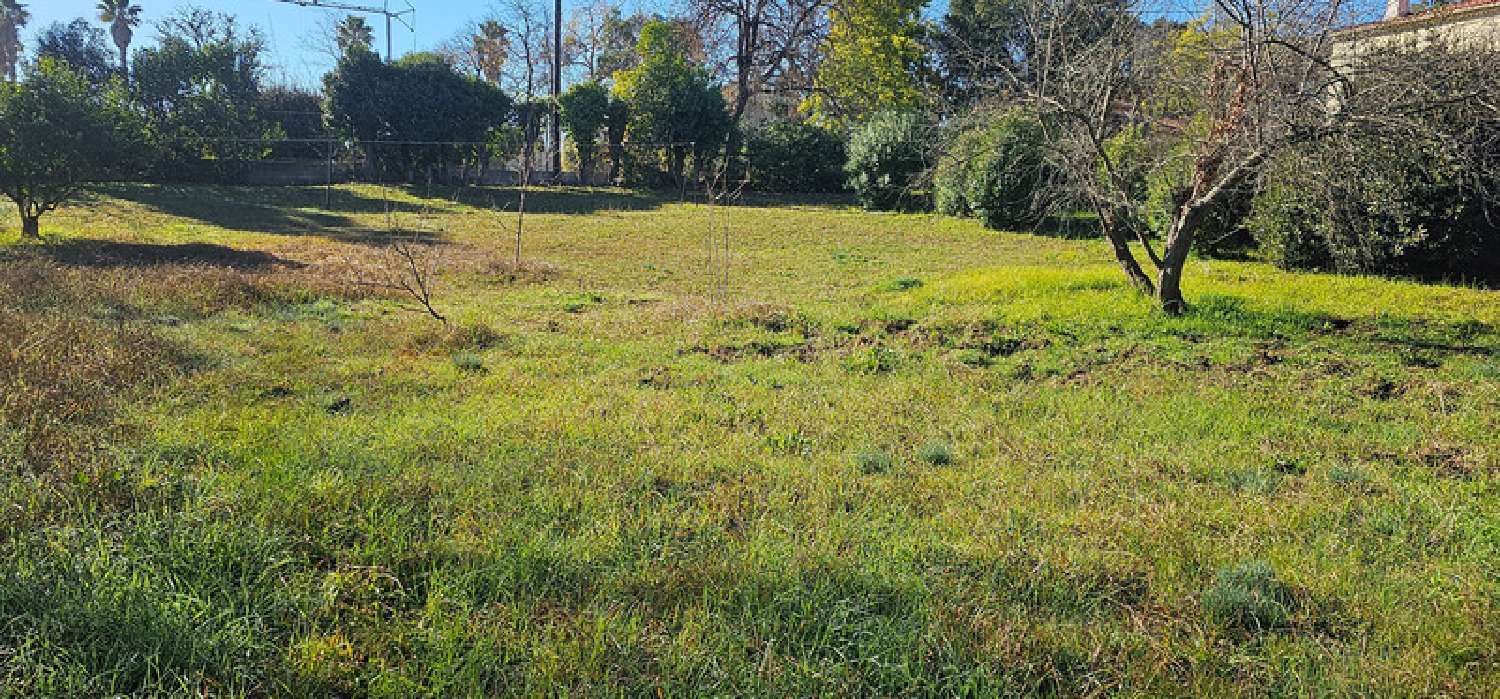  à vendre maison Poggio-Mezzana Haute-Corse 7