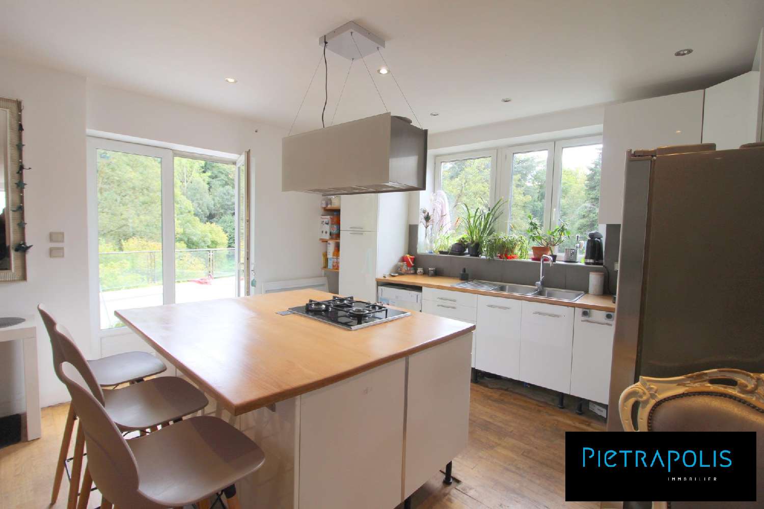  te koop huis Pont-Évêque Isère 4