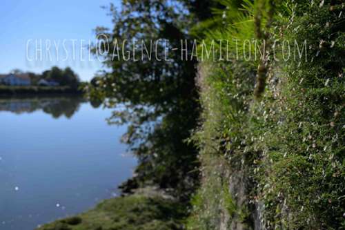 Port-de-Lanne Landes huis foto 7169712