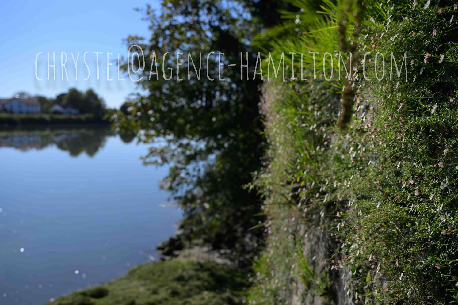  te koop huis Port-de-Lanne Landes 3