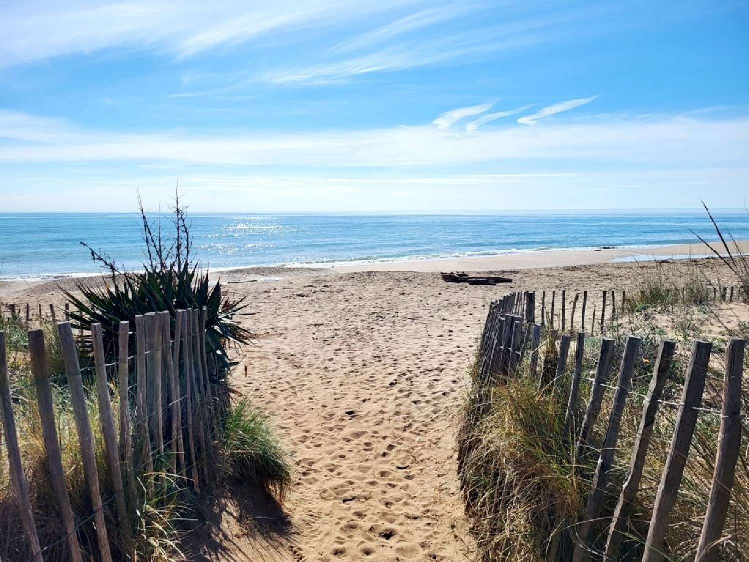  kaufen Haus Portiragnes Hérault 2