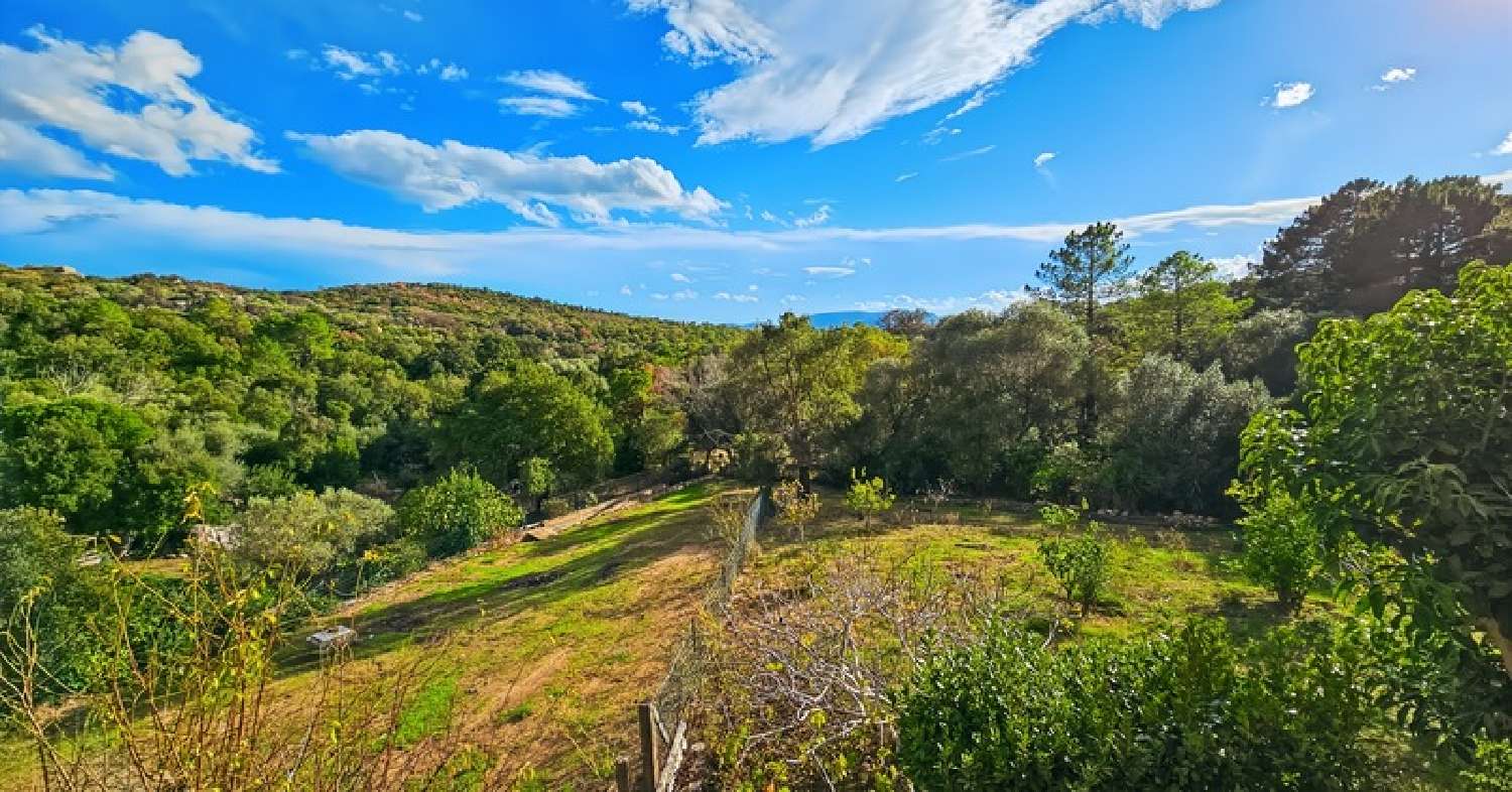 te koop huis Porto-Vecchio Corse-du-Sud 1