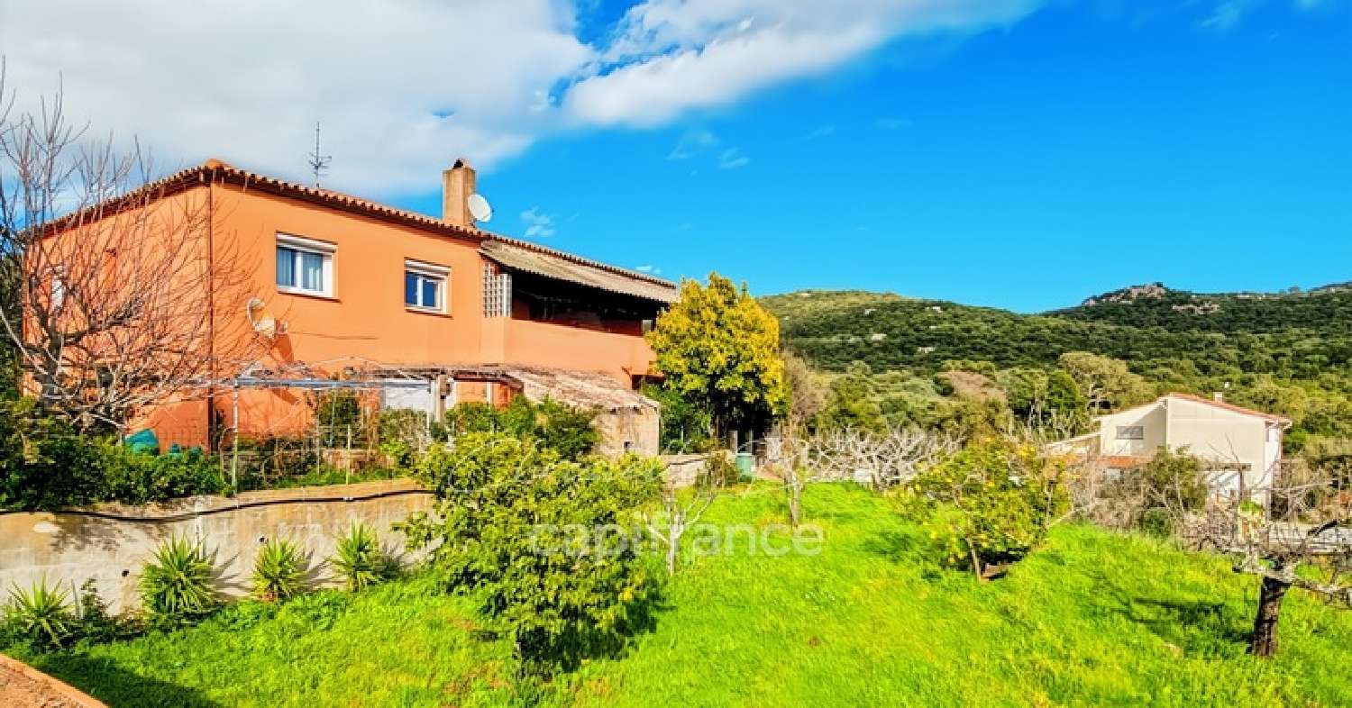 te koop huis Porto-Vecchio Corse-du-Sud 2