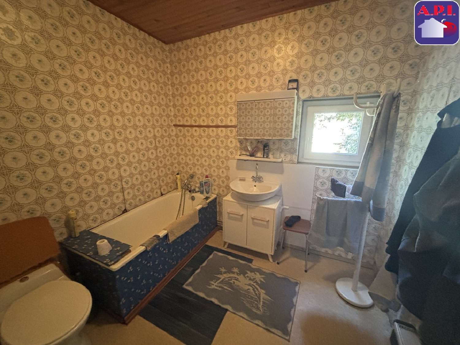 à vendre maison Prades Ariège 6