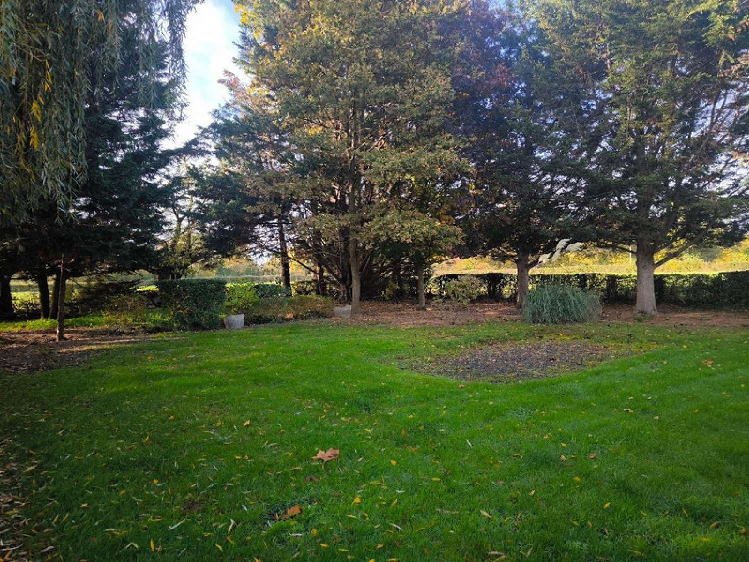 à vendre maison Précigné Sarthe 6