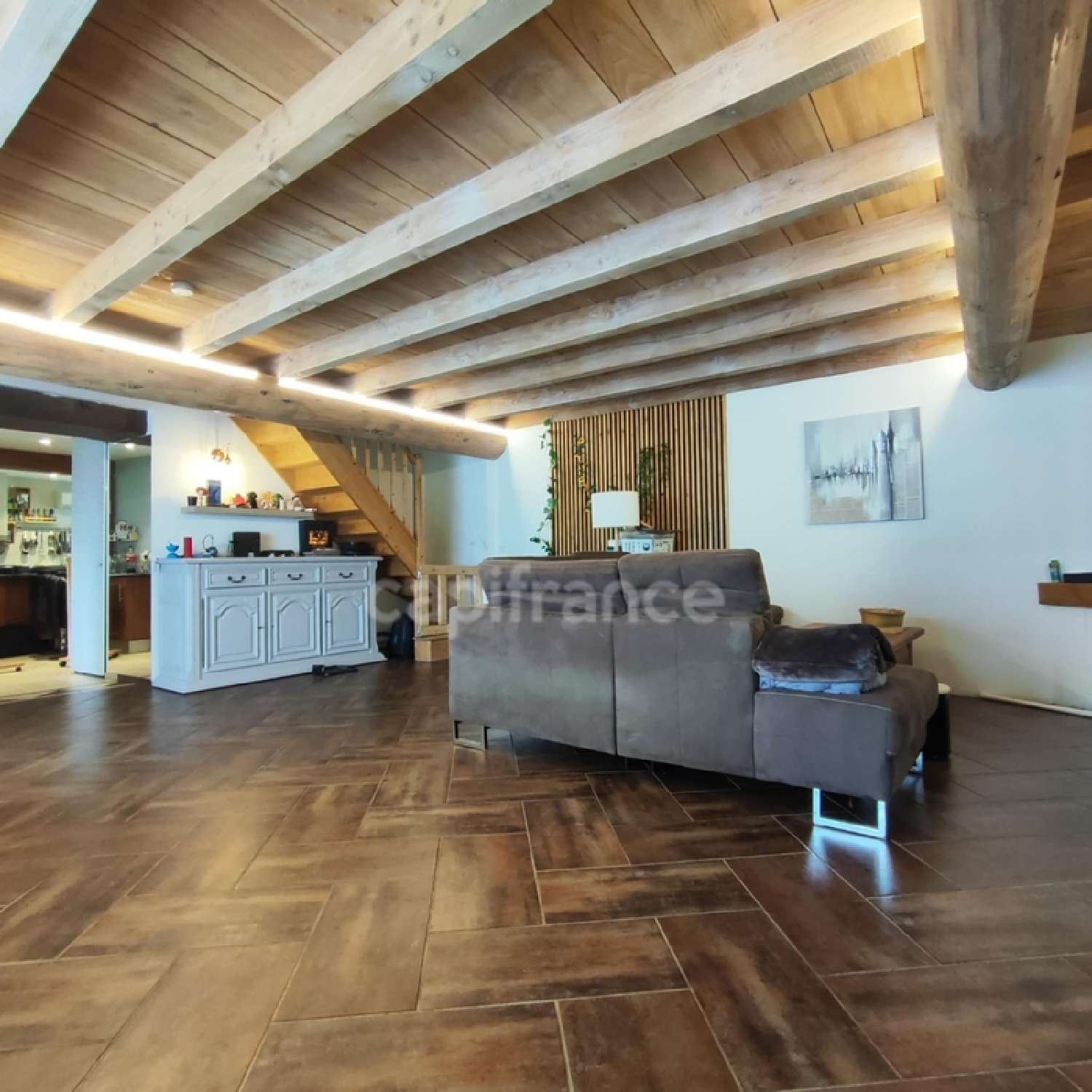  à vendre maison Pressins Isère 2