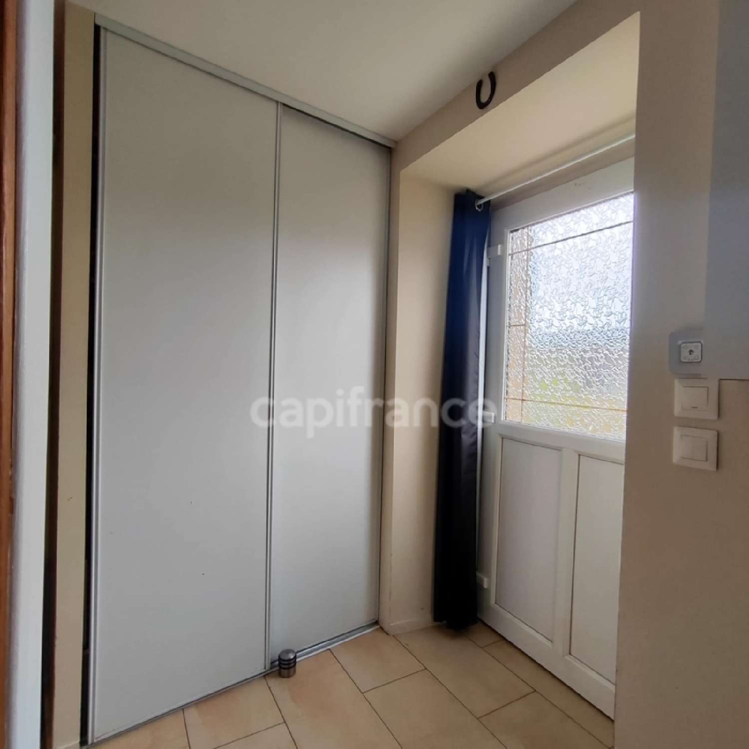  à vendre maison Pressins Isère 3