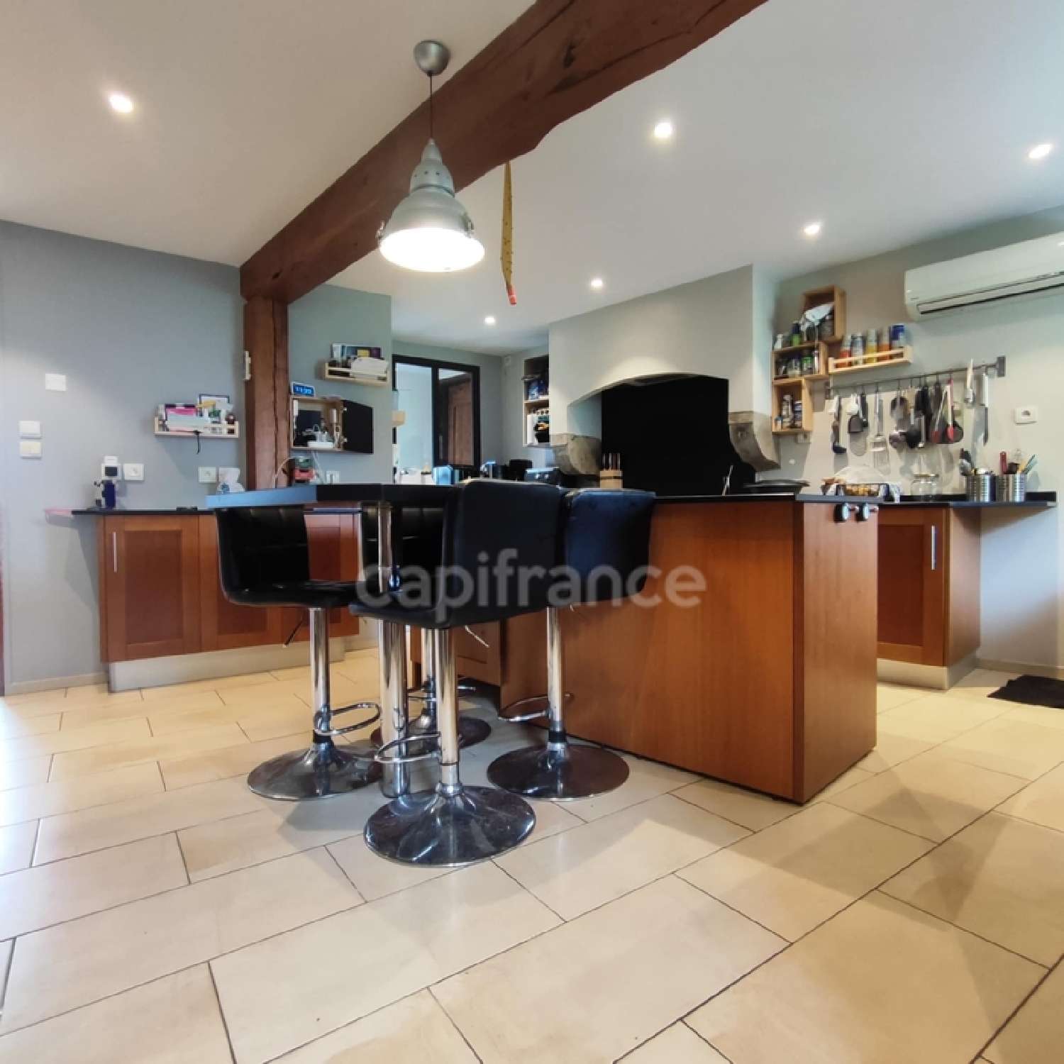  à vendre maison Pressins Isère 8