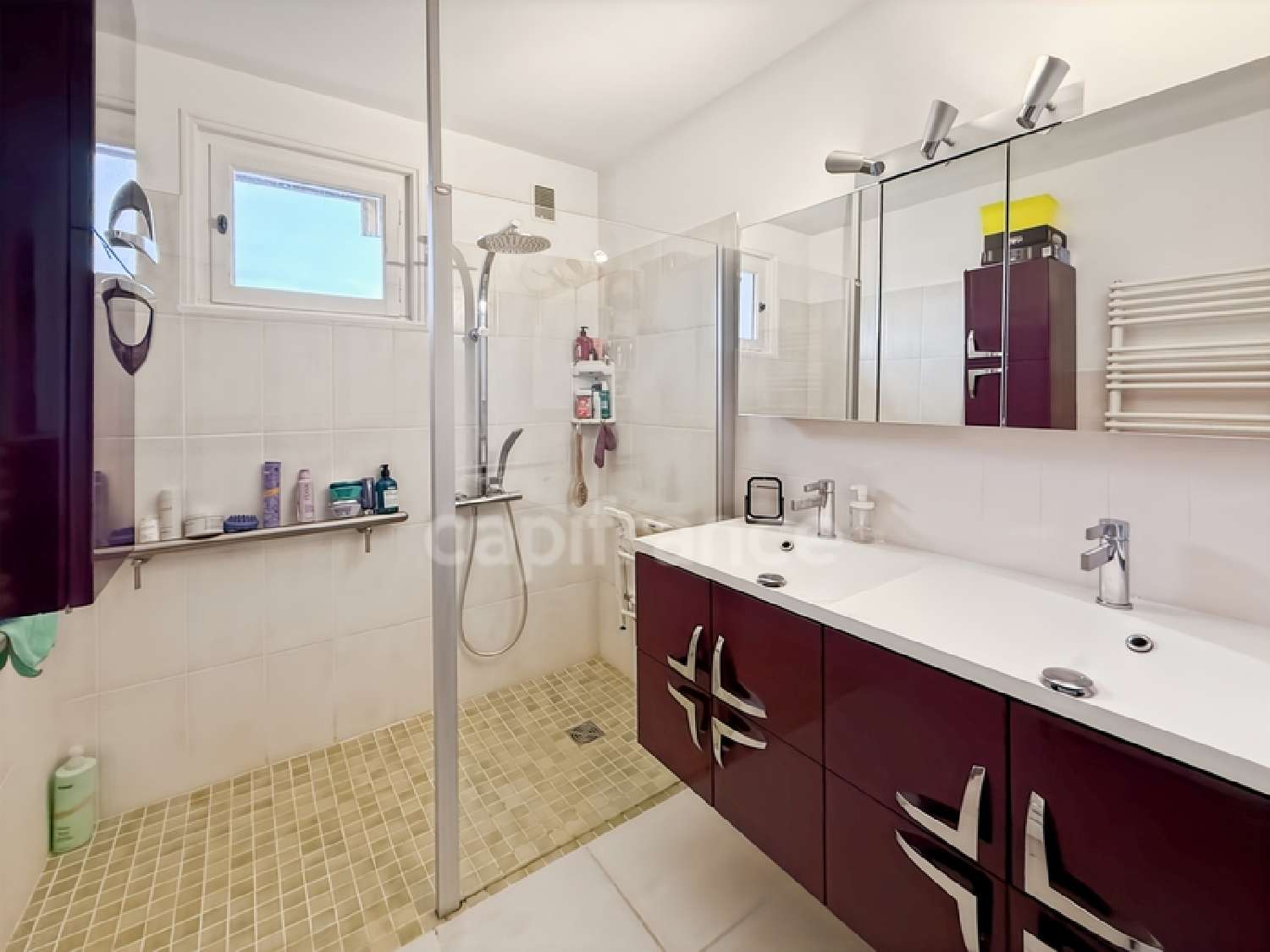  à vendre maison Prévessin-Moens Ain 7