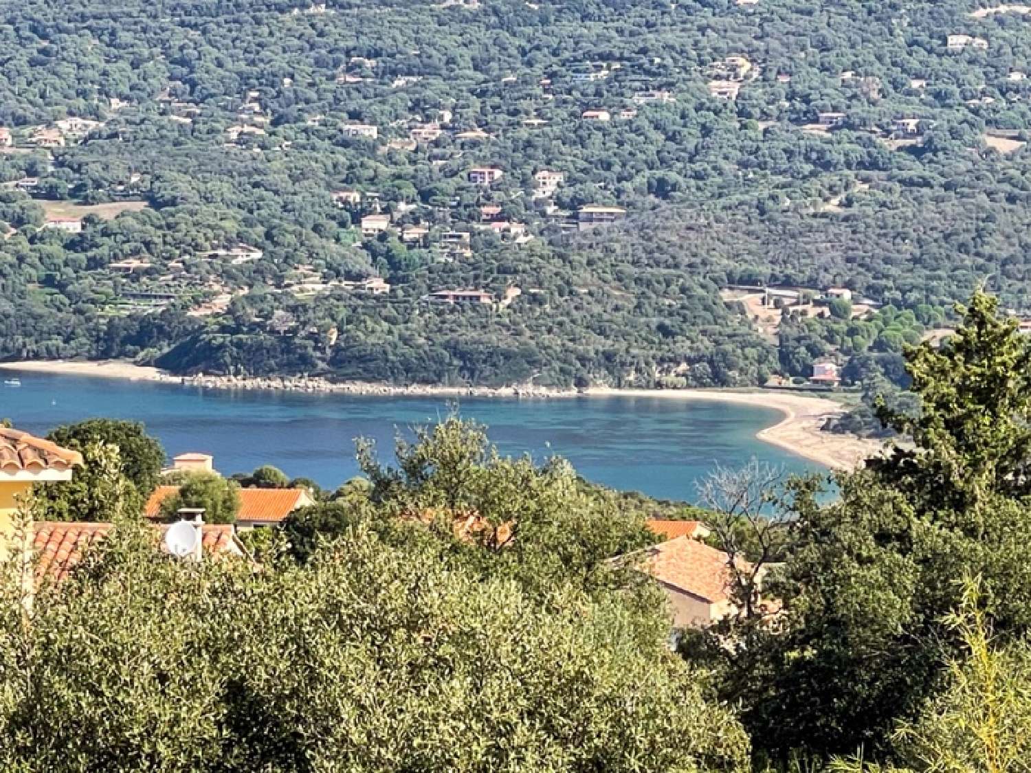 à vendre maison Propriano Corse-du-Sud 3