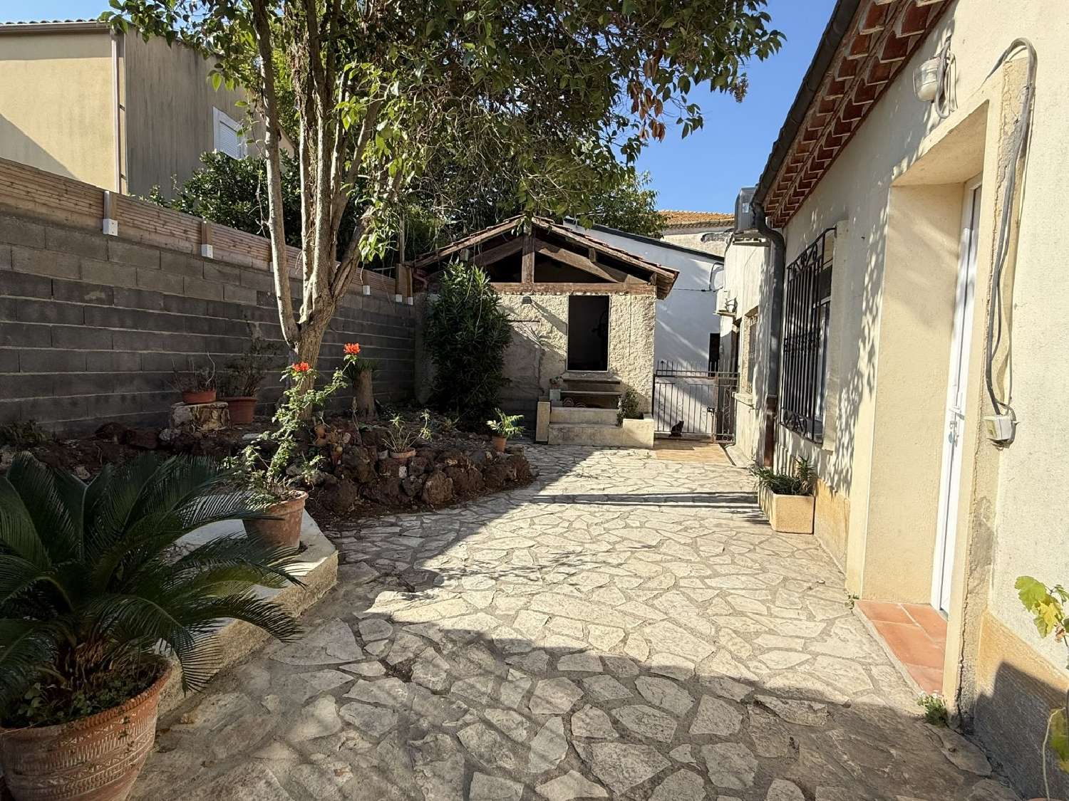  te koop huis Puissalicon Hérault 3