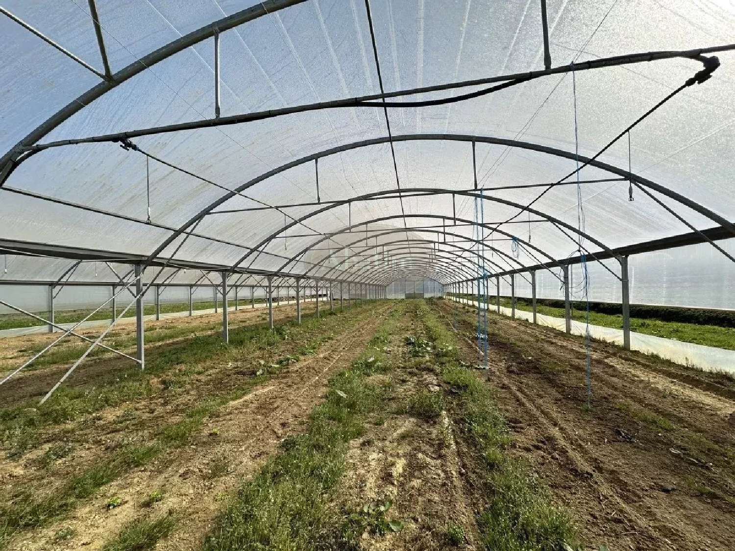  for sale house Puydarrieux Hautes-Pyrénées 3